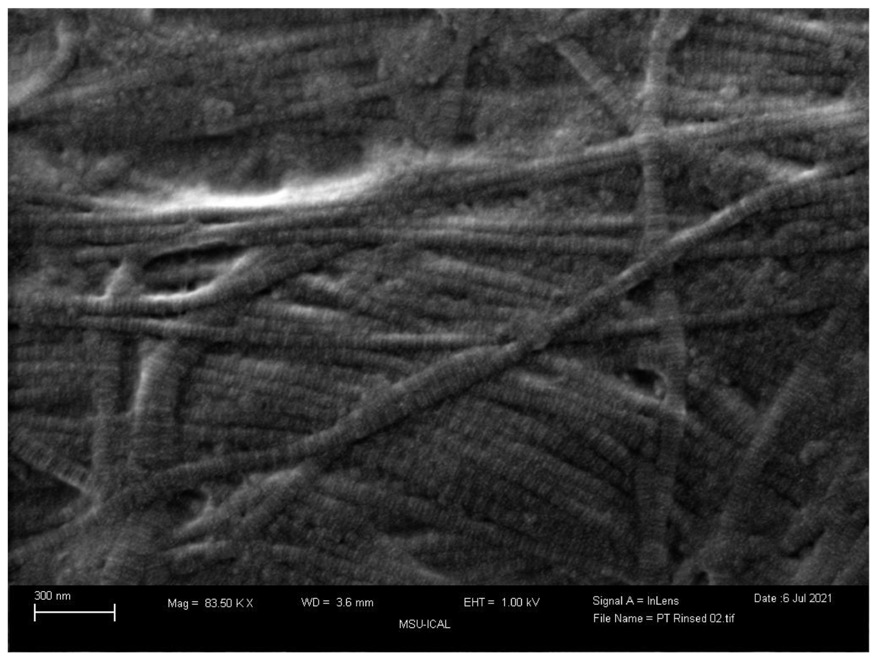 Preprints 90429 g006