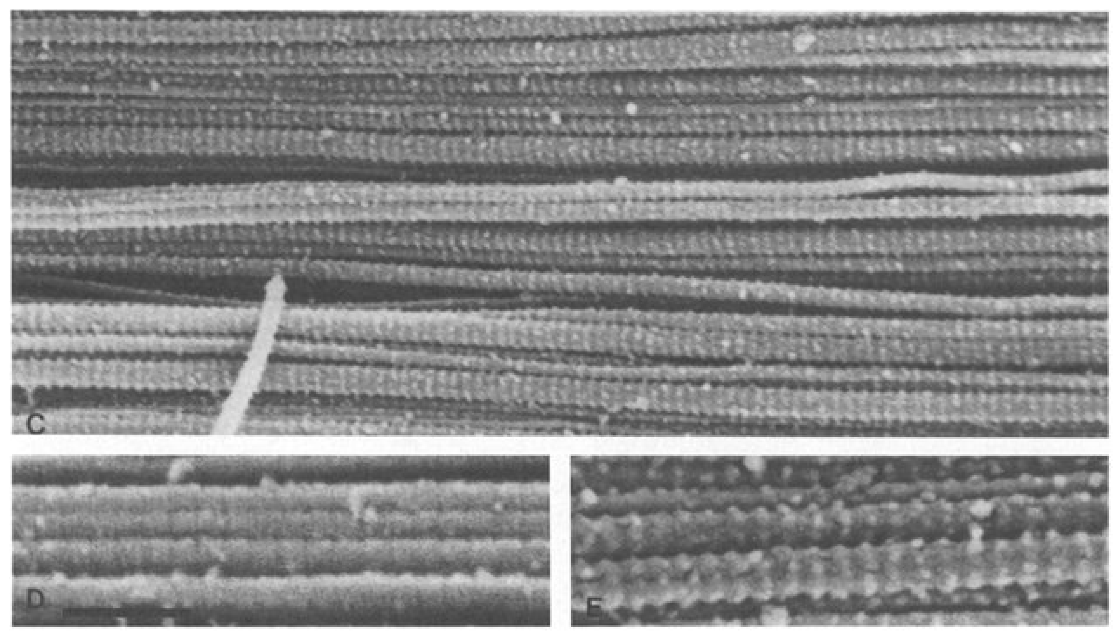 Preprints 90429 g007