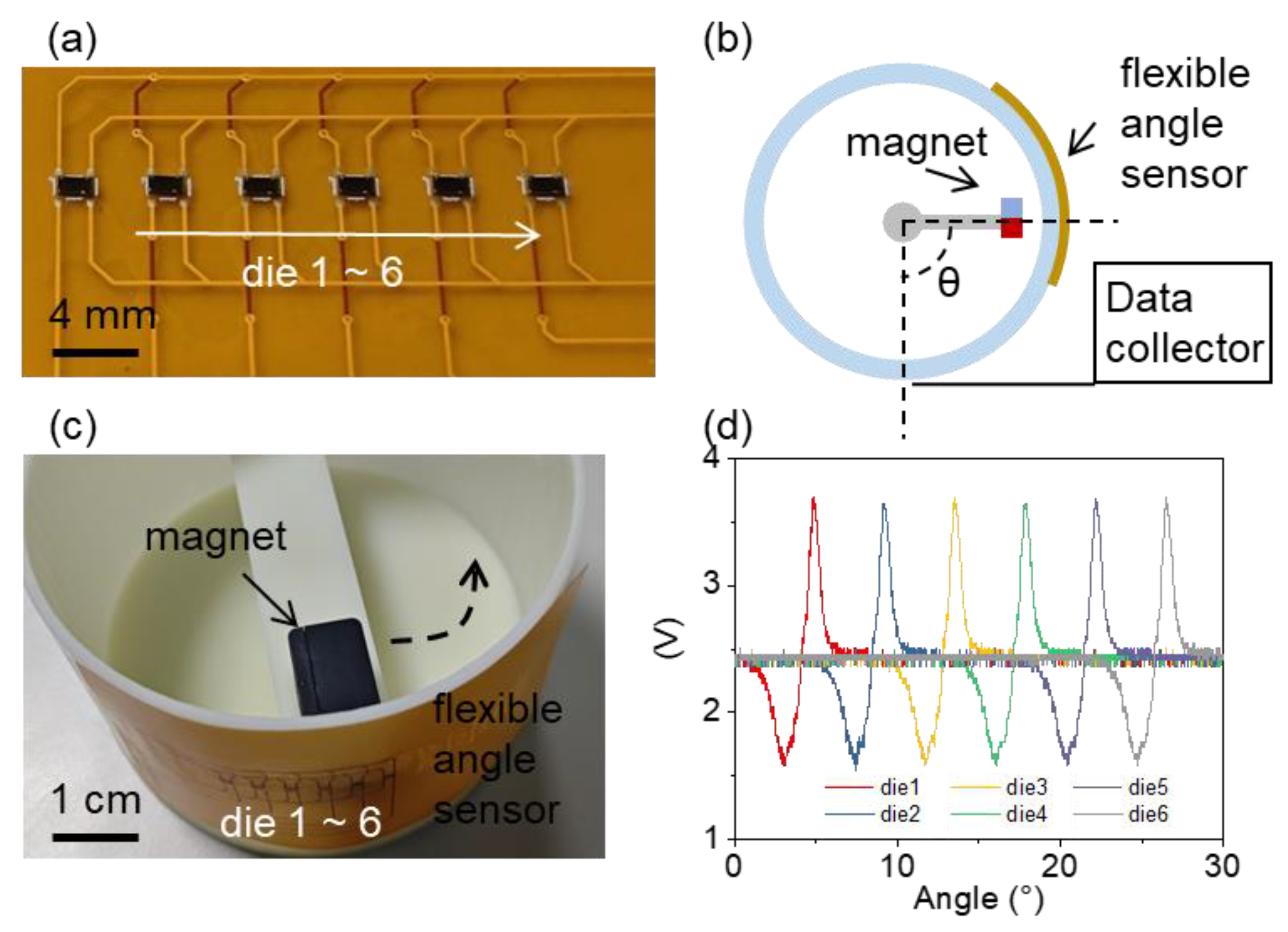 Preprints 144903 g005