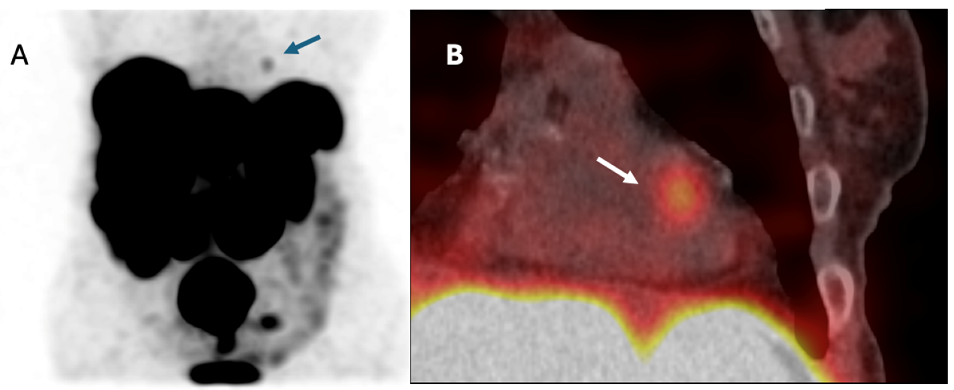 Preprints 175847 g004