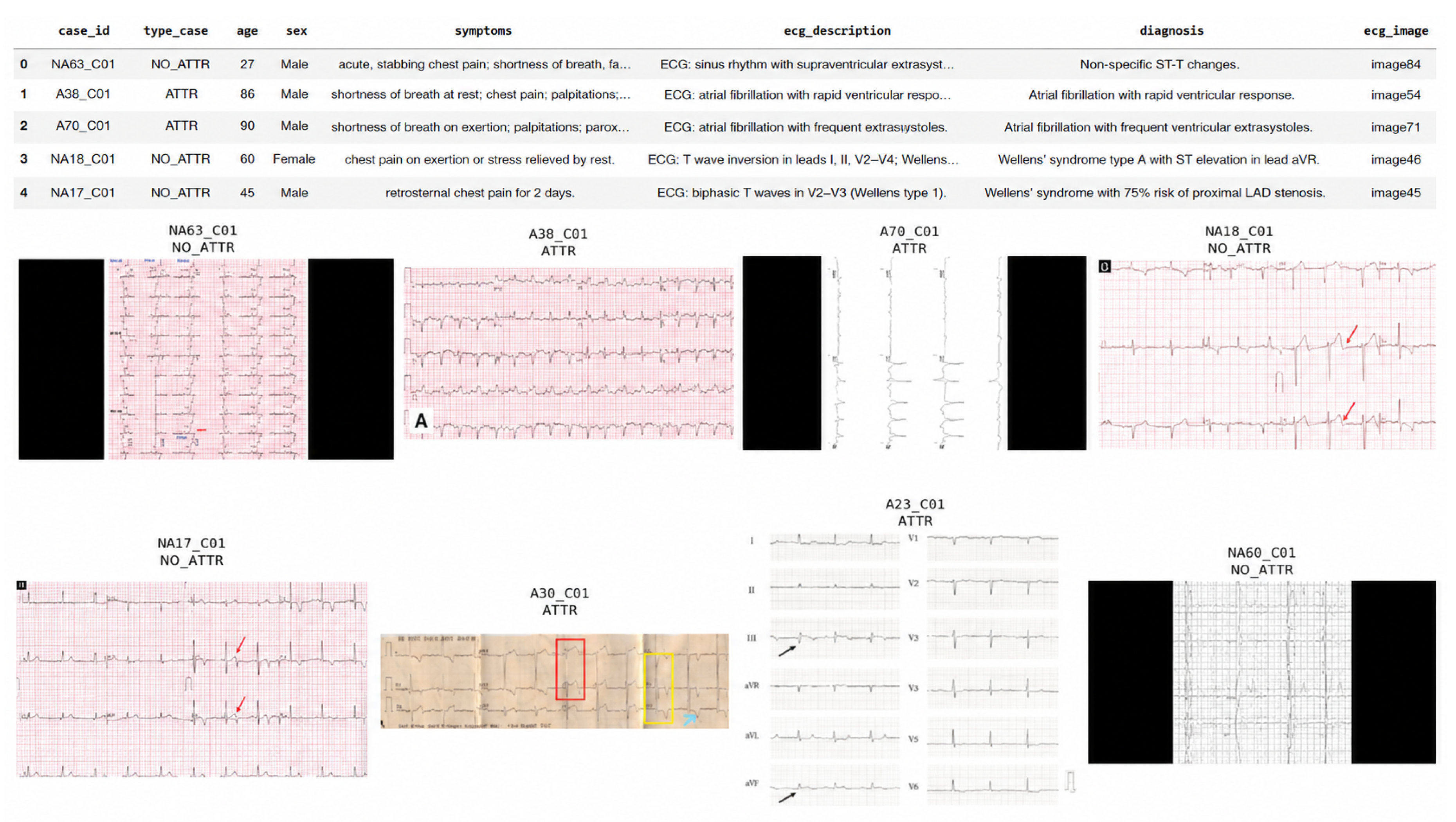 Preprints 215113 g002 Preprints 215113 g002