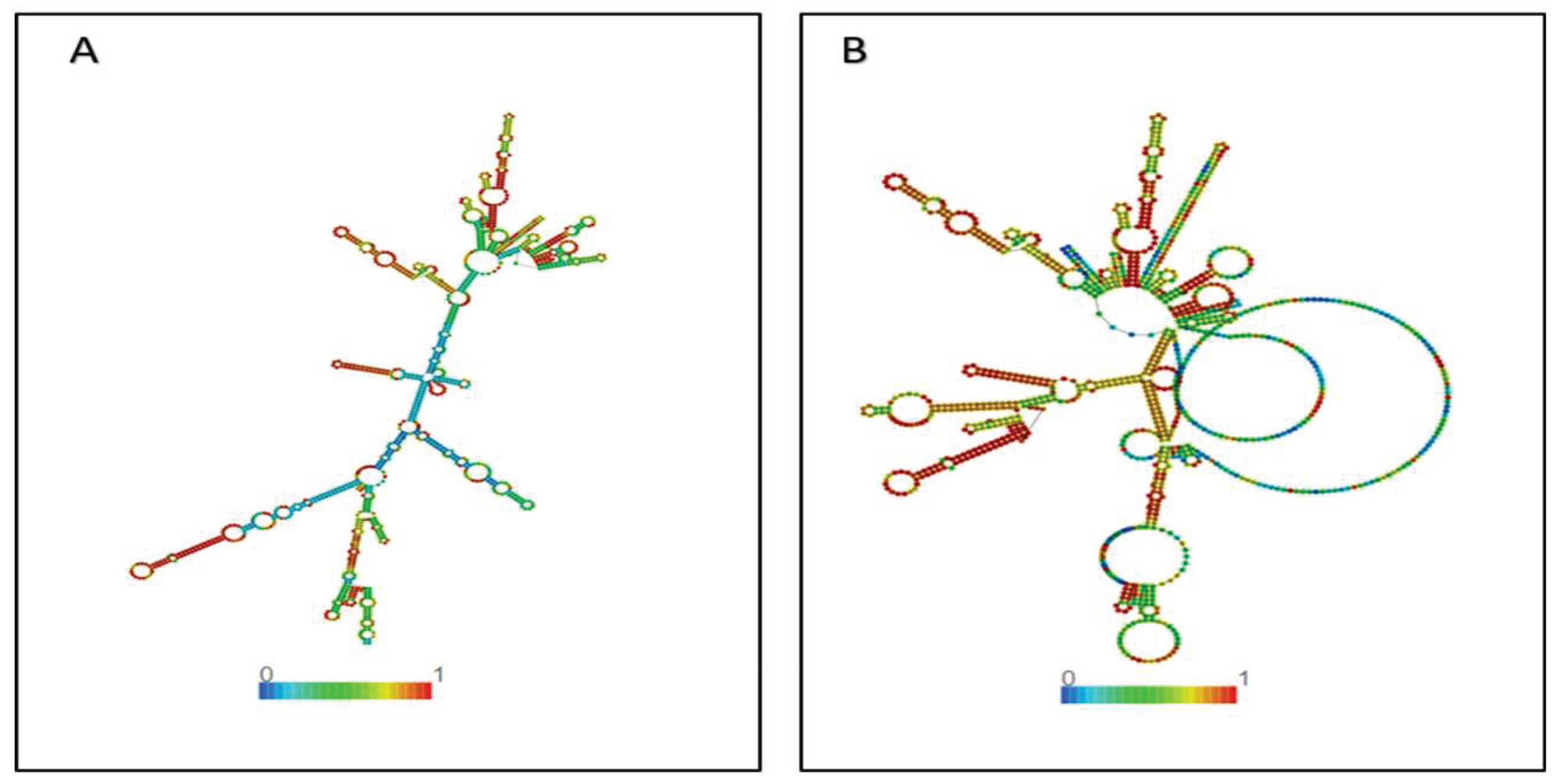 Preprints 208793 g009
