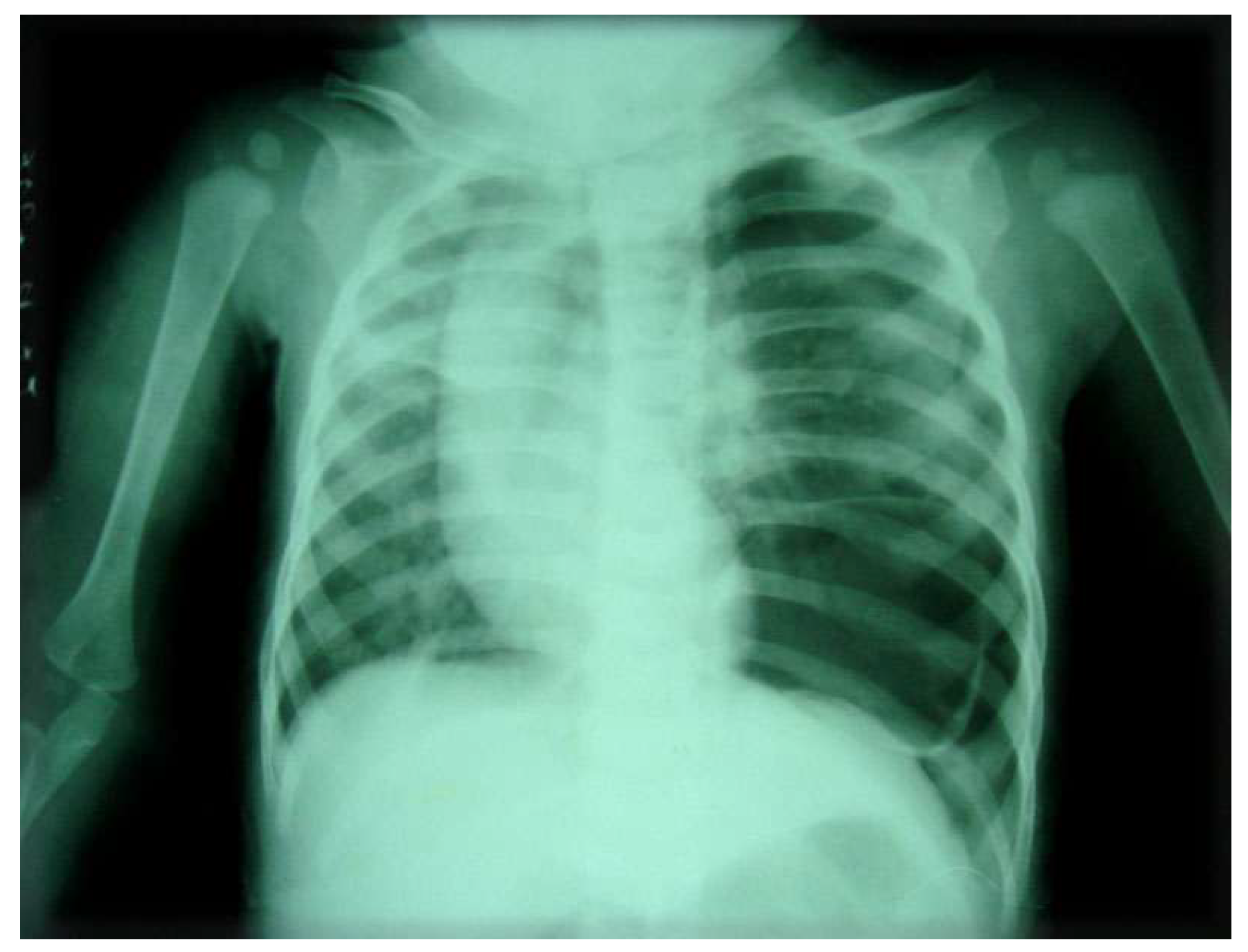 Preprints 179744 g001