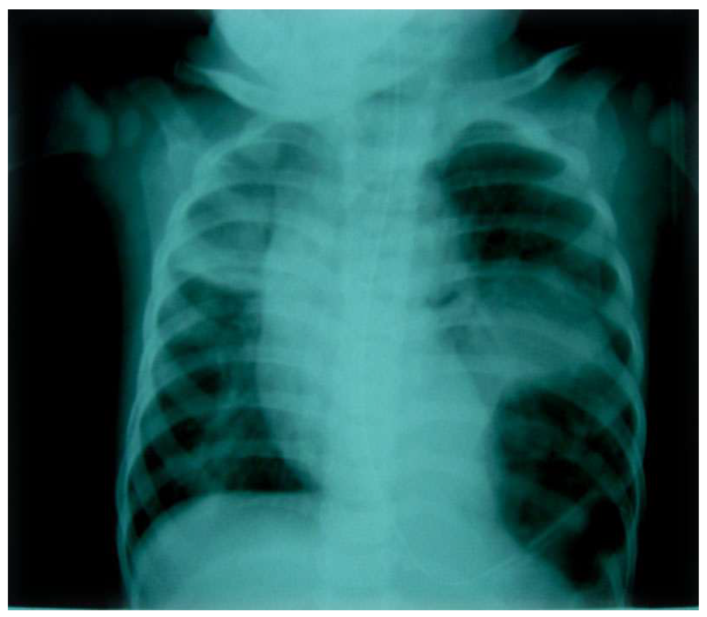 Preprints 179744 g002