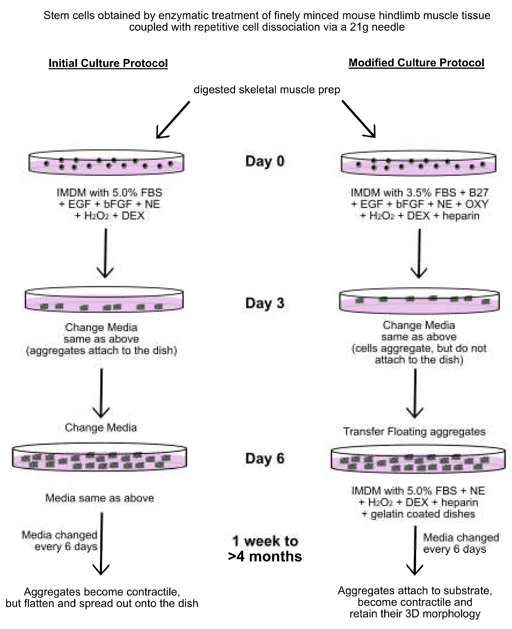 Preprints 146983 g004