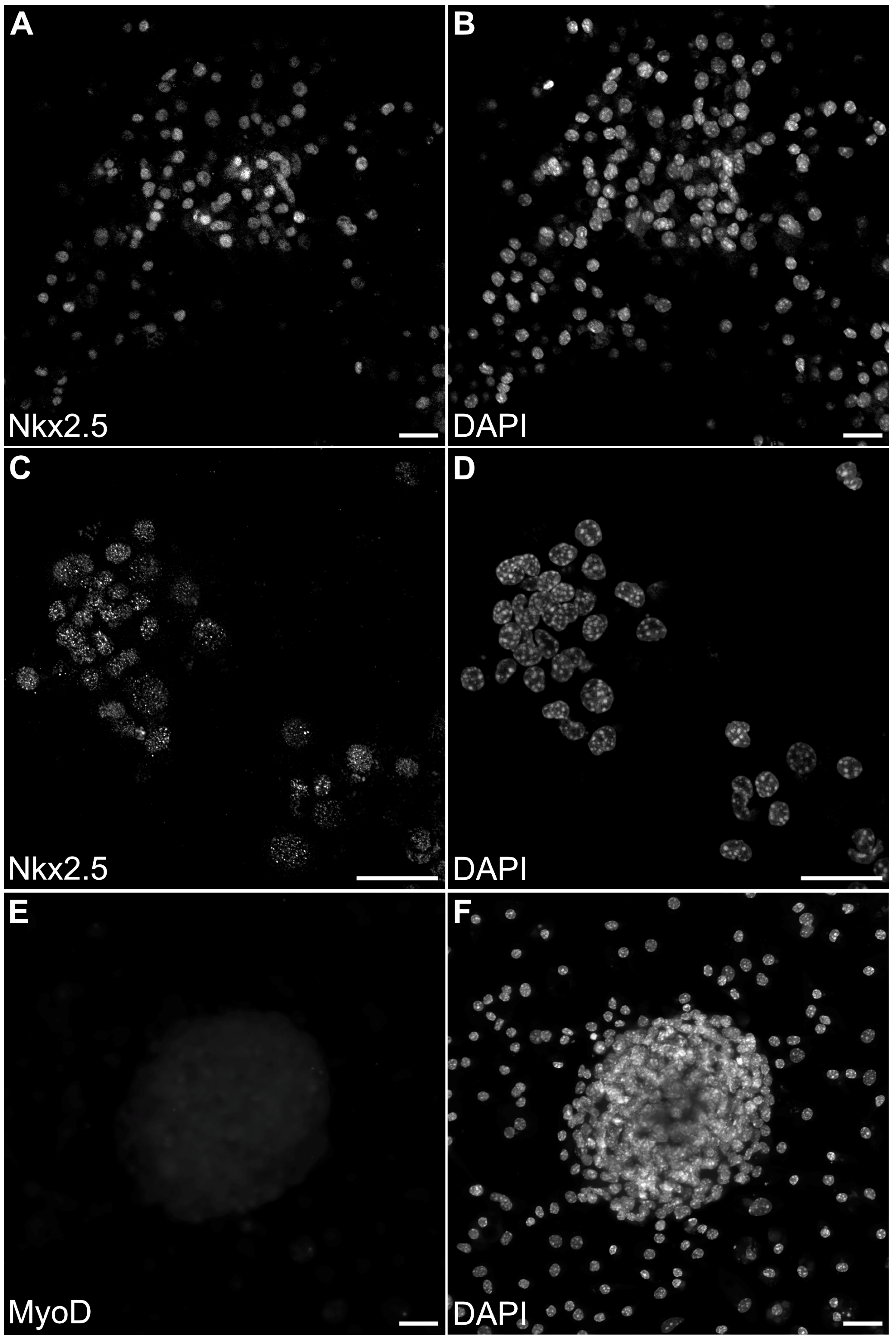 Preprints 146983 g007