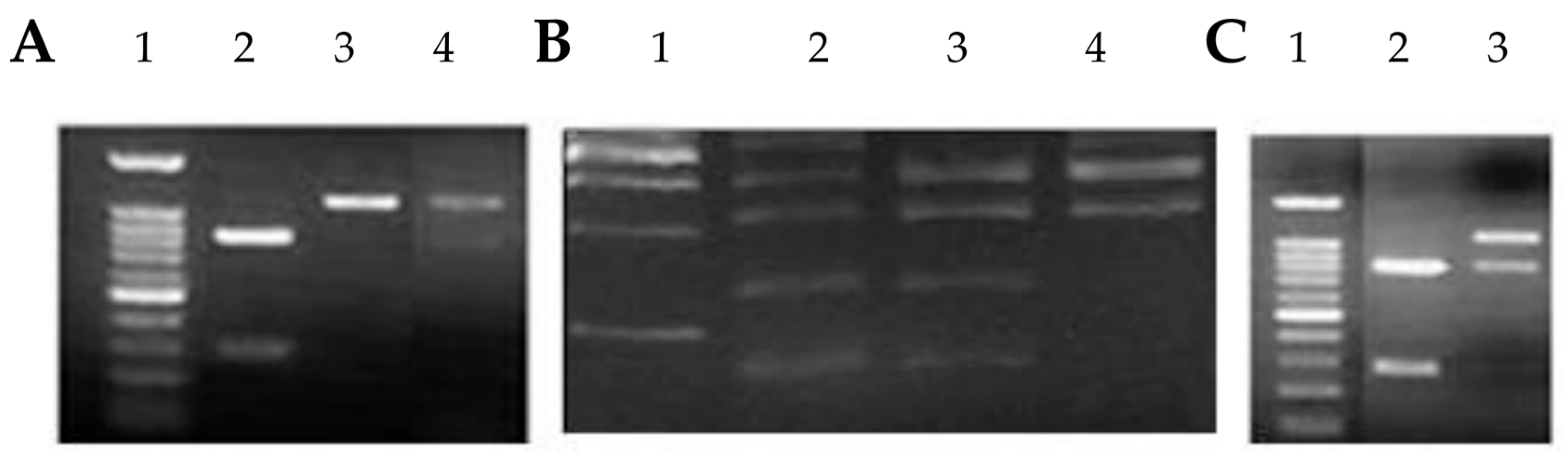 Preprints 163783 g002