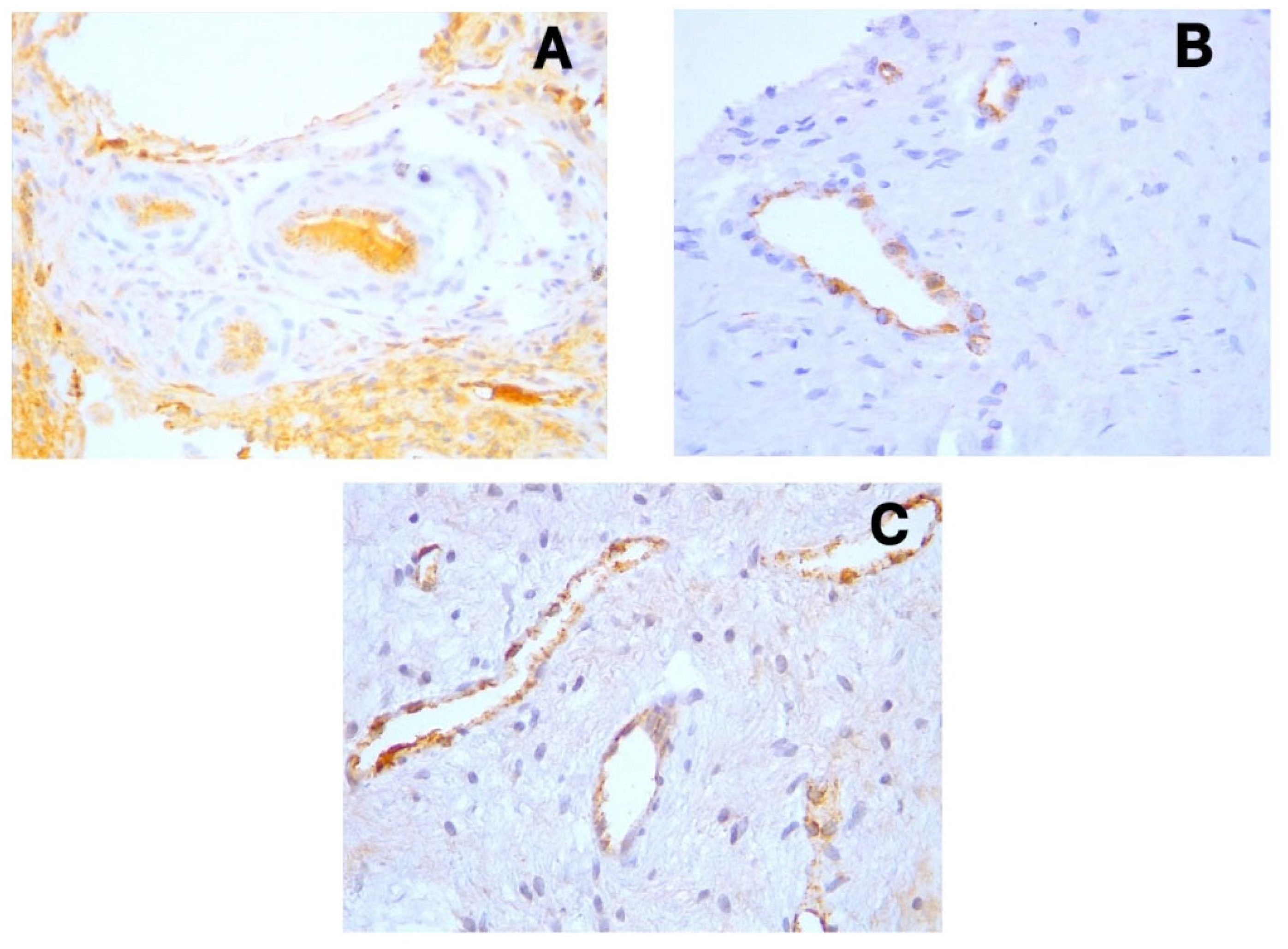 Preprints 164845 g001
