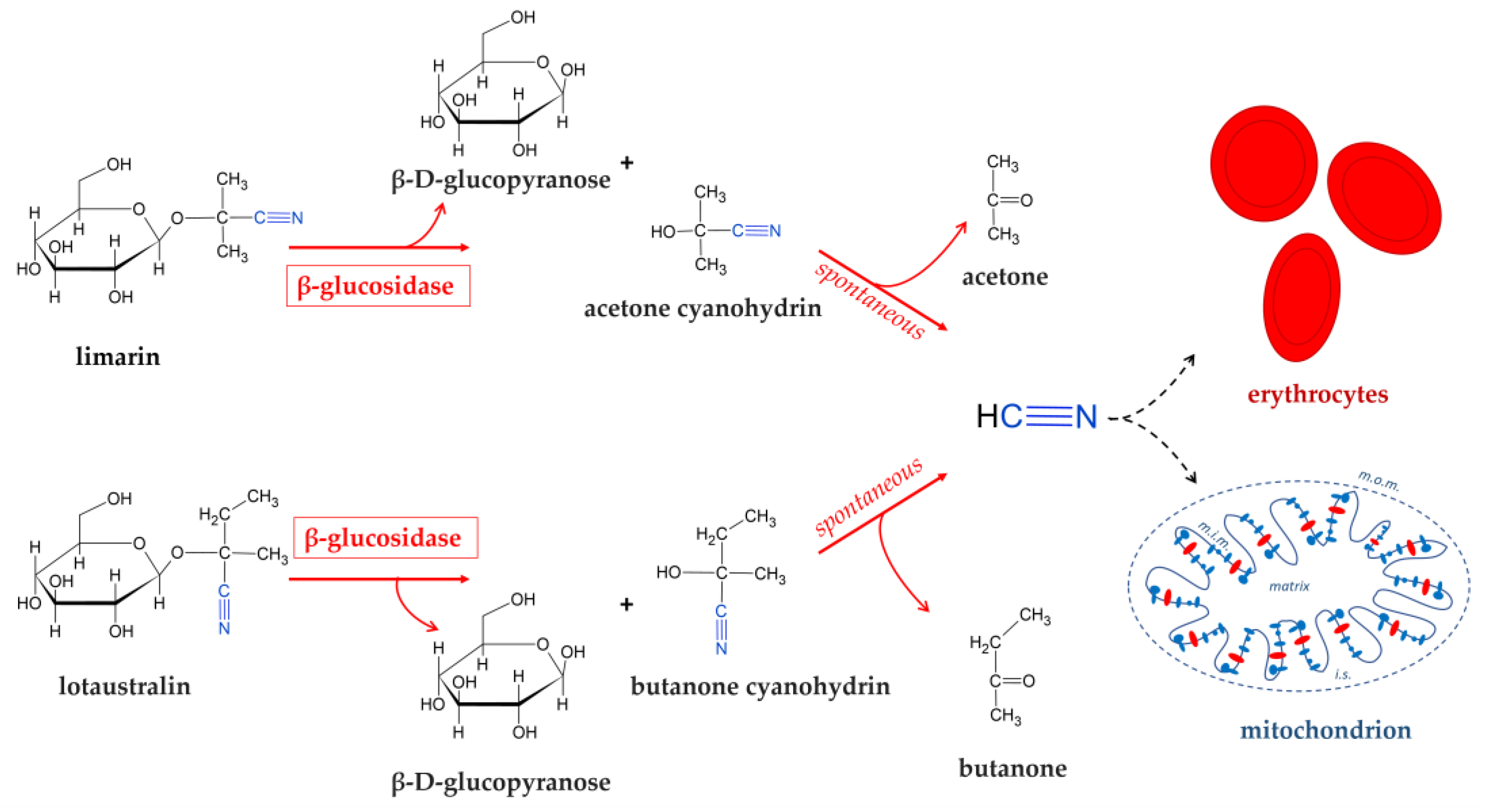 Preprints 153225 g003