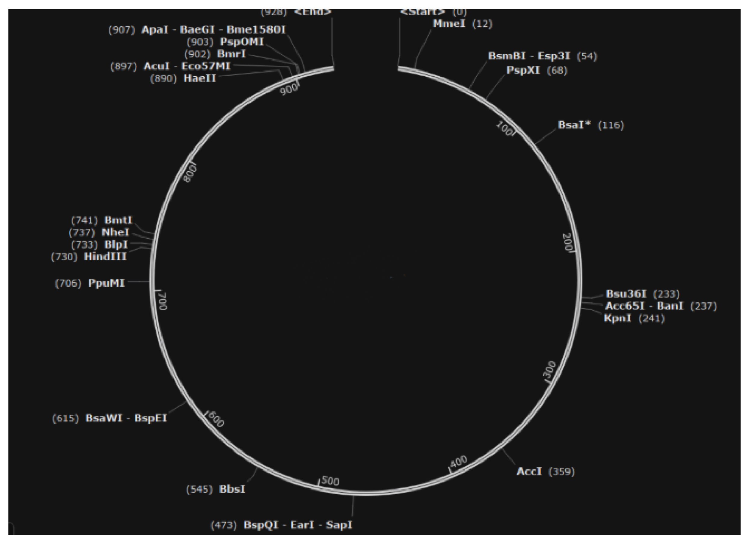 Preprints 153918 g007