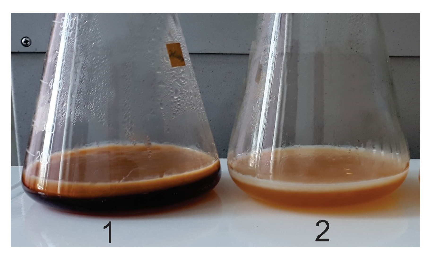 Preprints 143554 g004