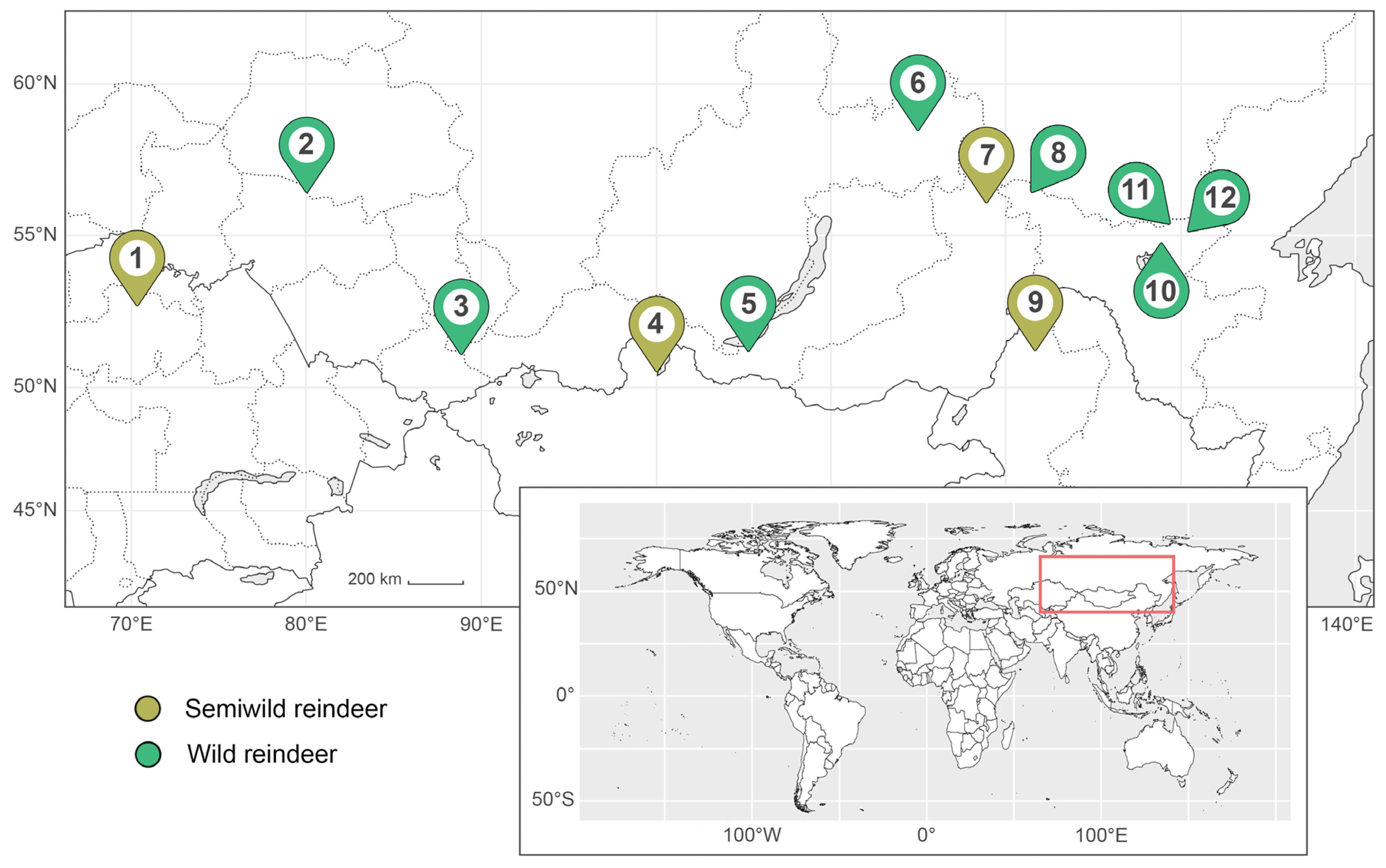 Preprints 194620 g001