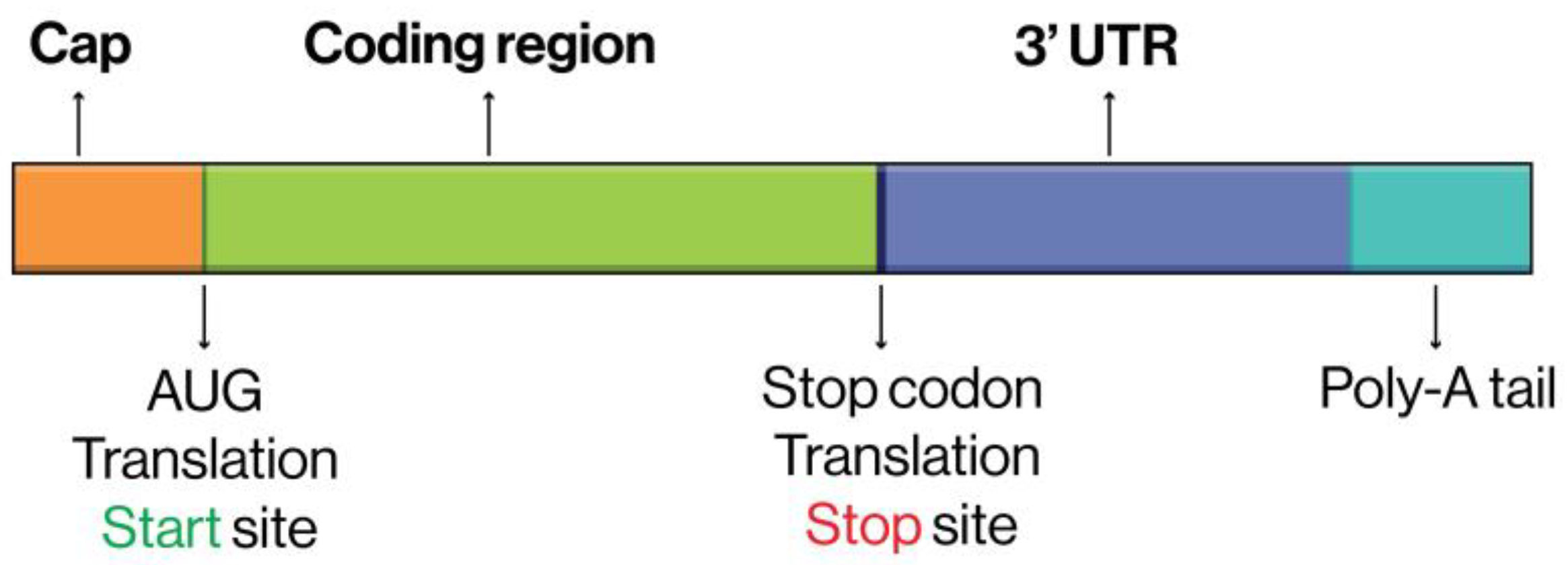 Preprints 142114 g001