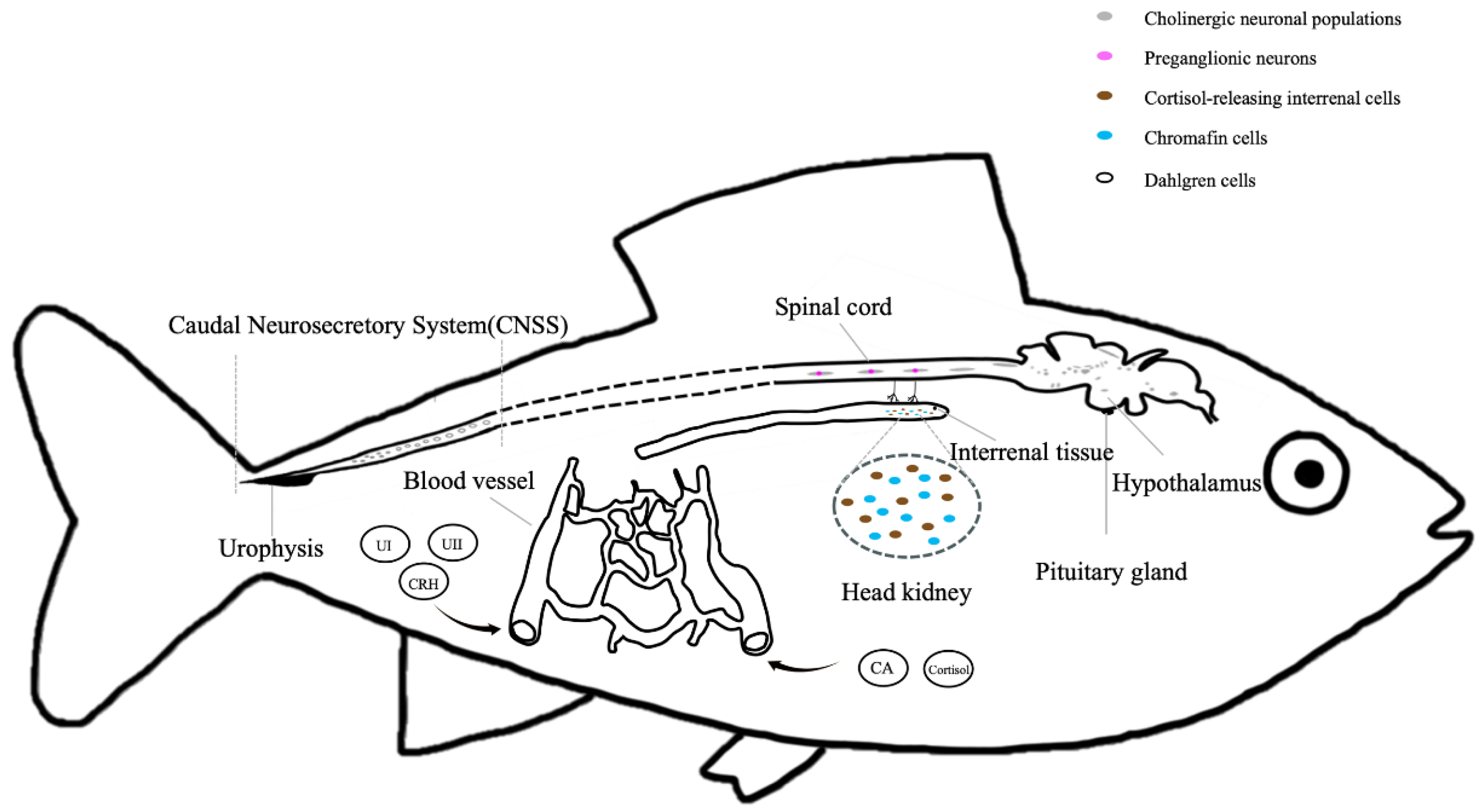 Preprints 161025 g002