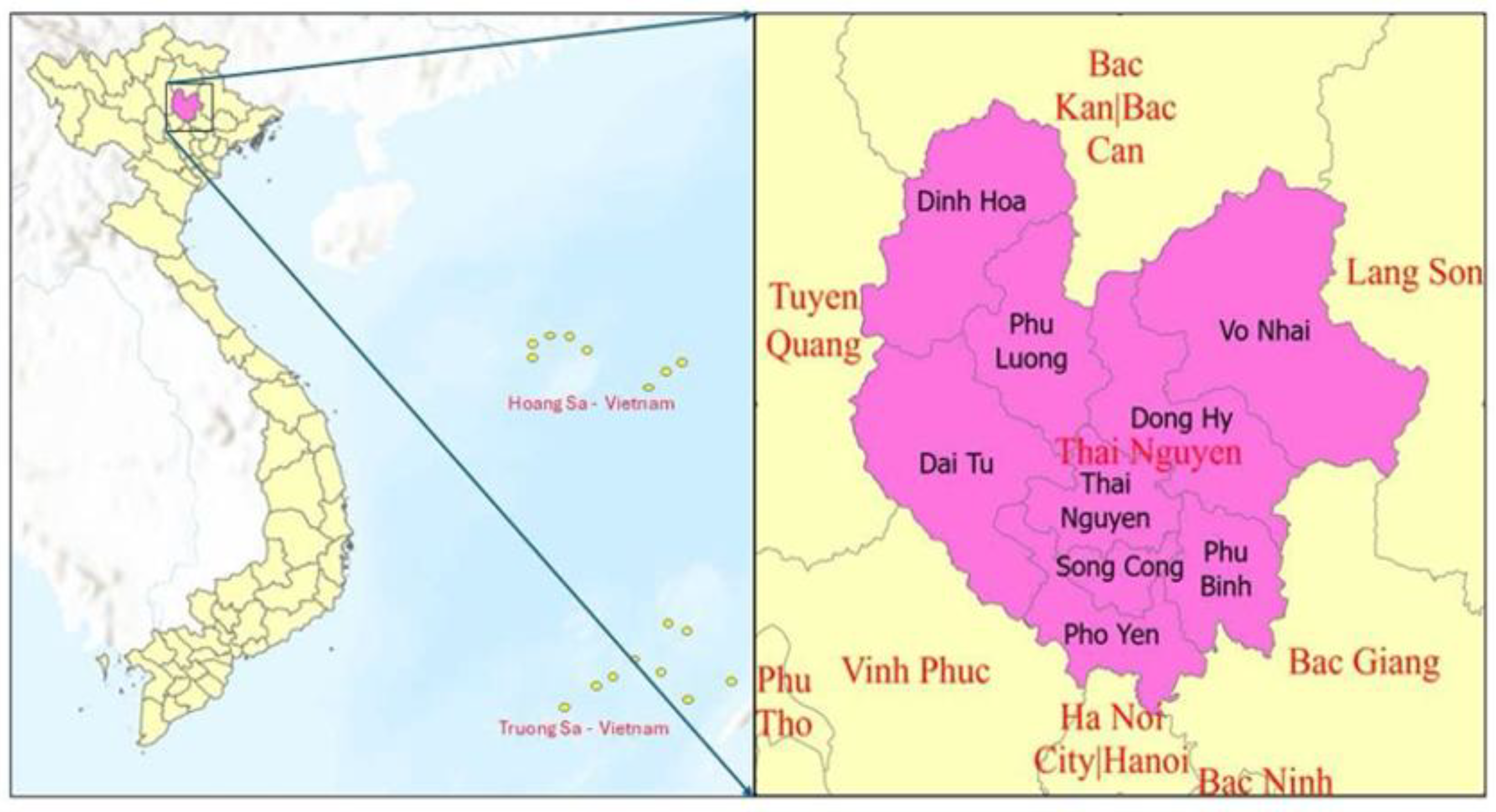 Preprints 153032 g001