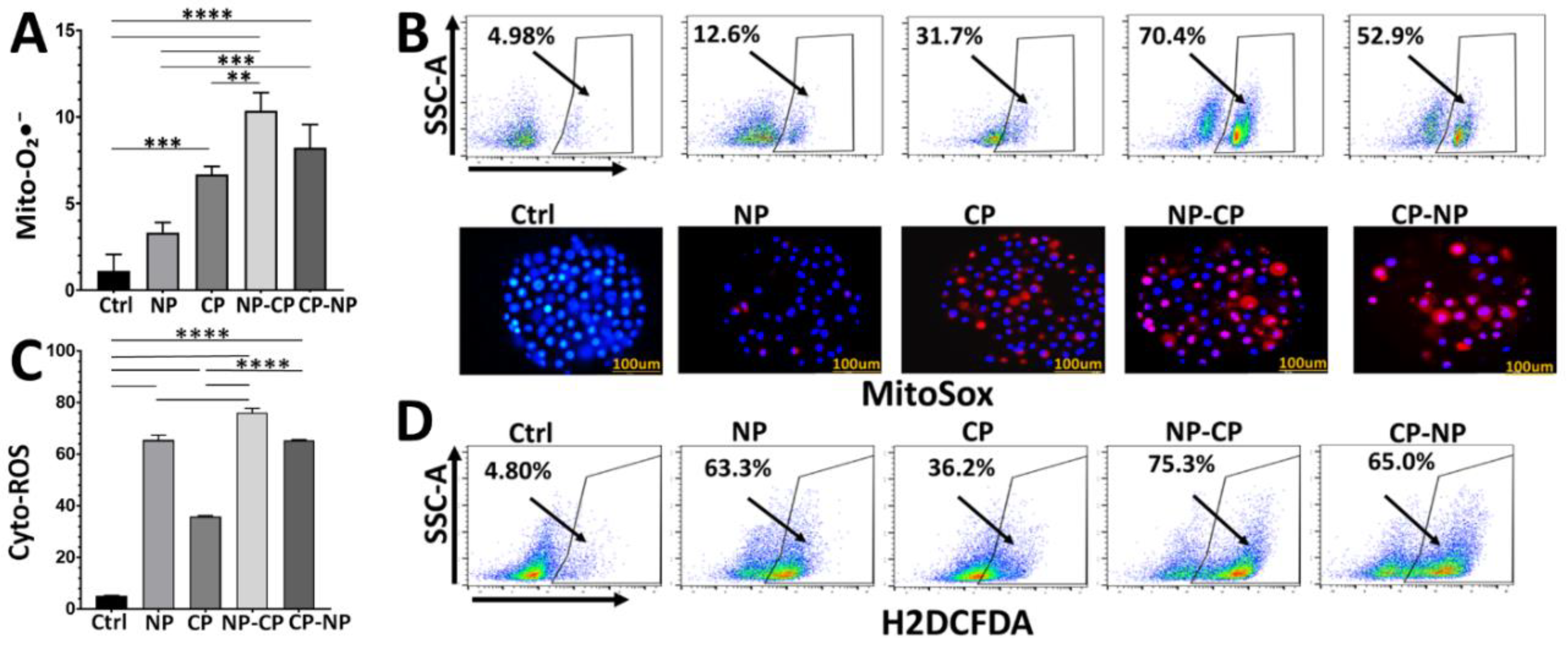 Preprints 194158 g002