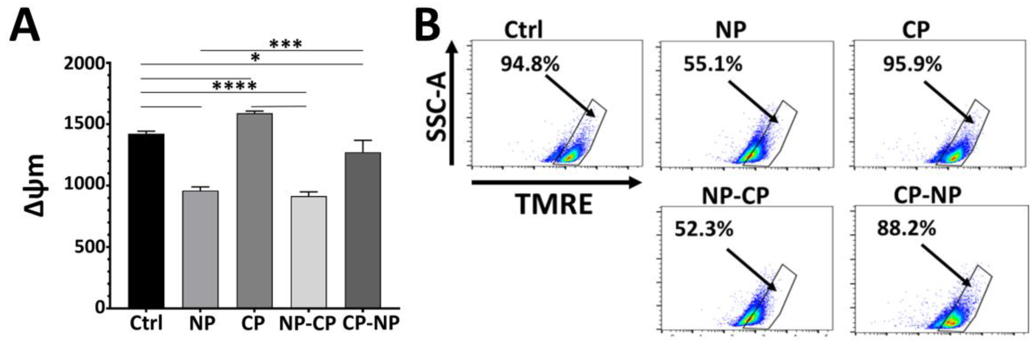 Preprints 194158 g004