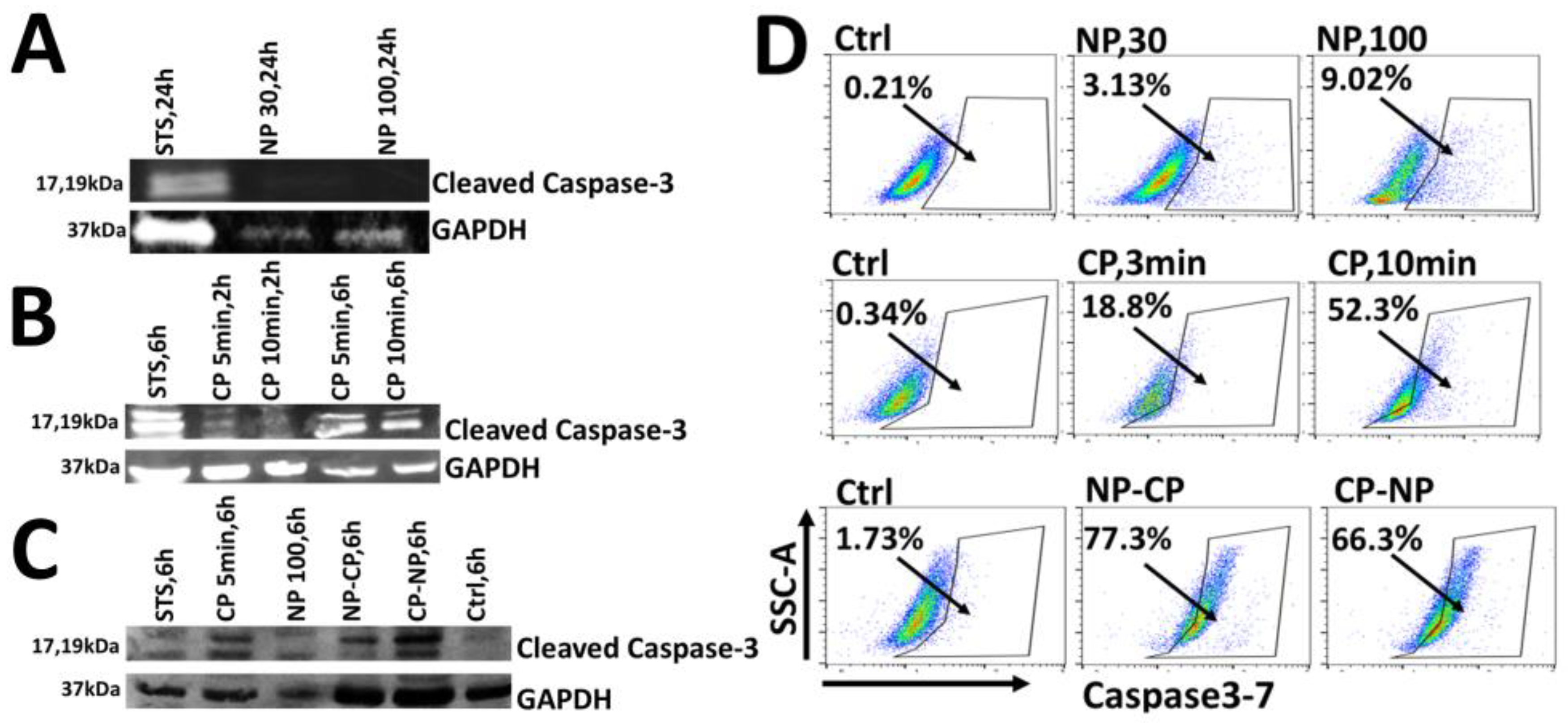 Preprints 194158 g005