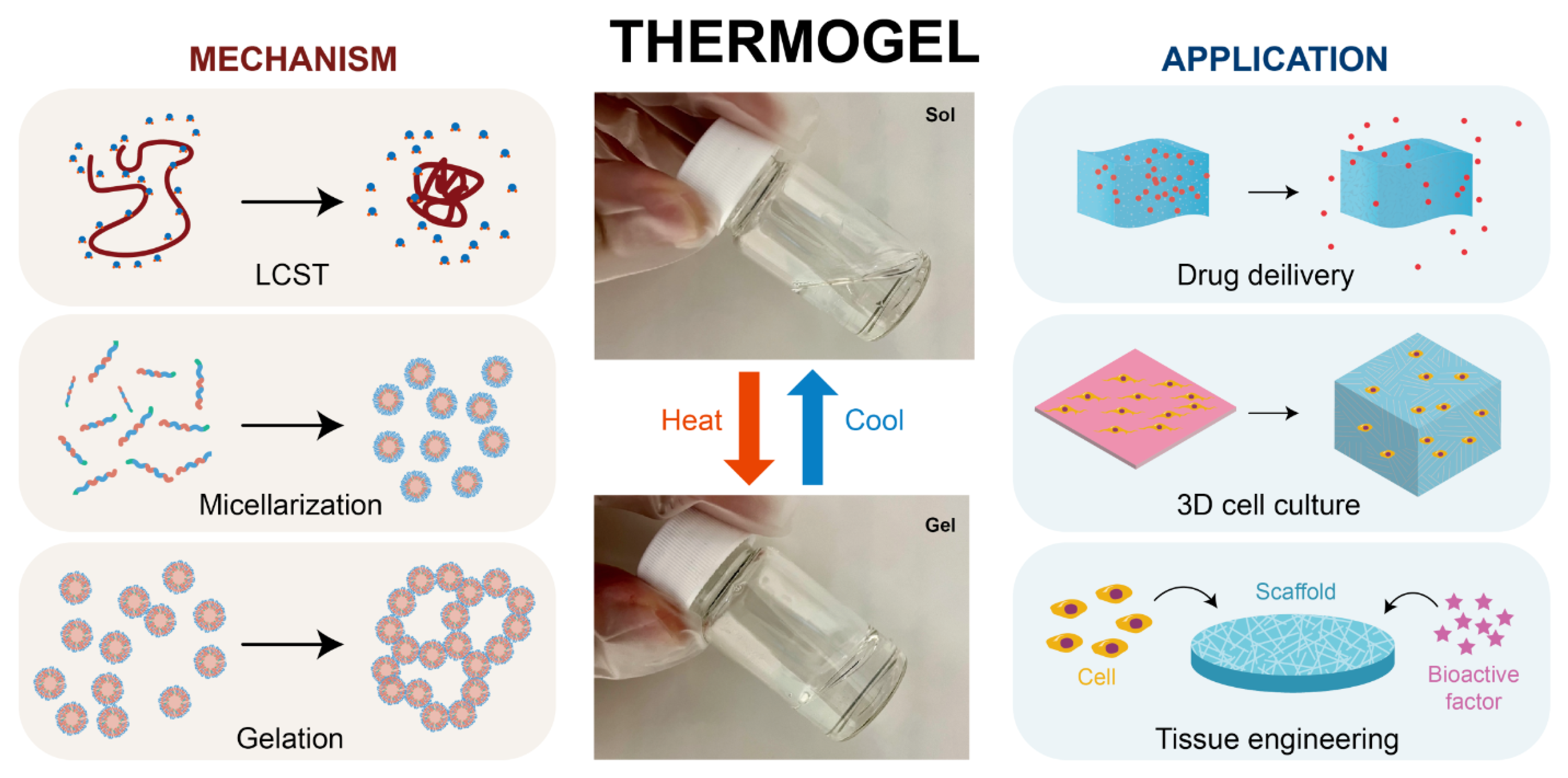 Preprints 142987 g001