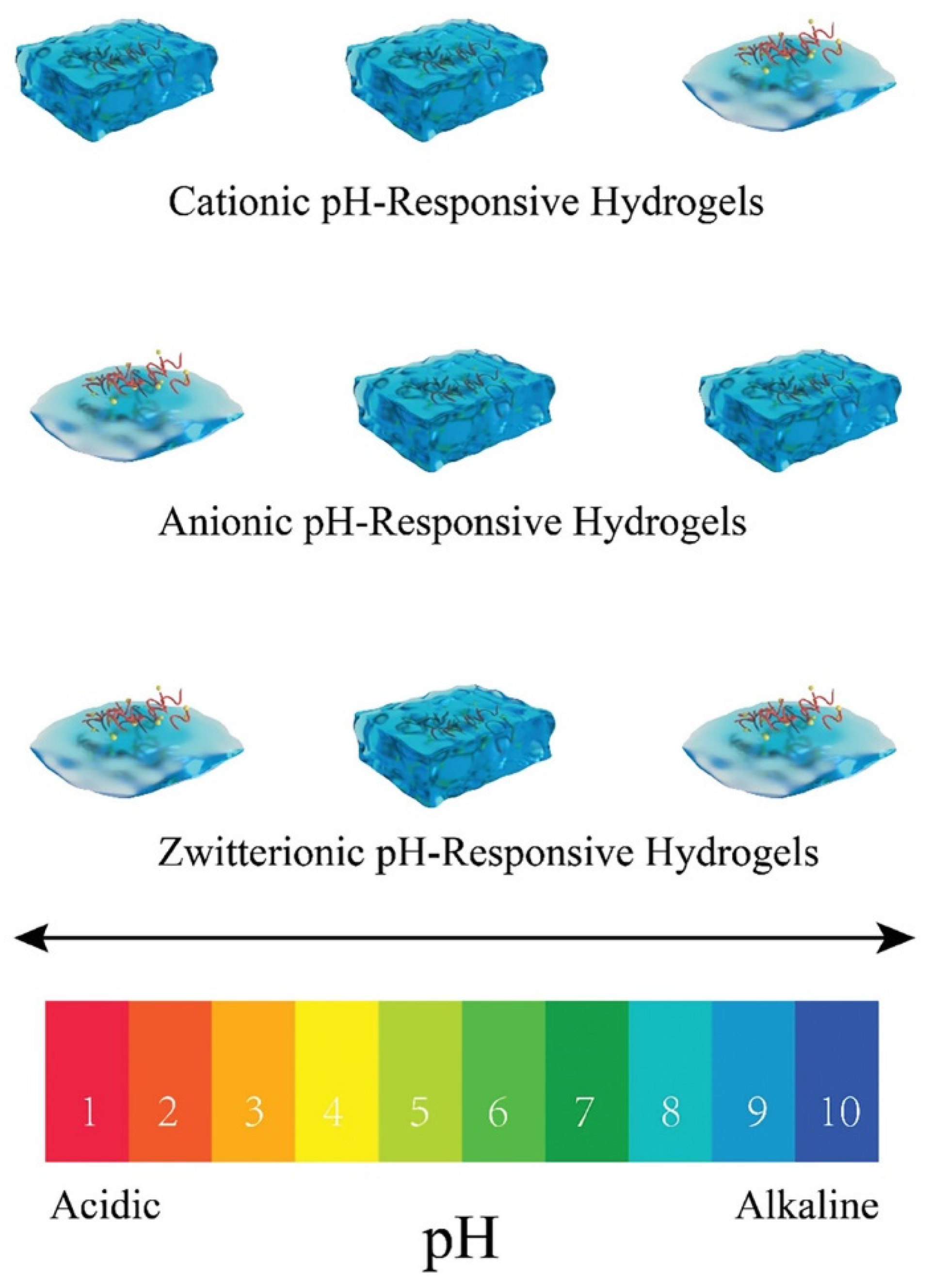 Preprints 142987 g002