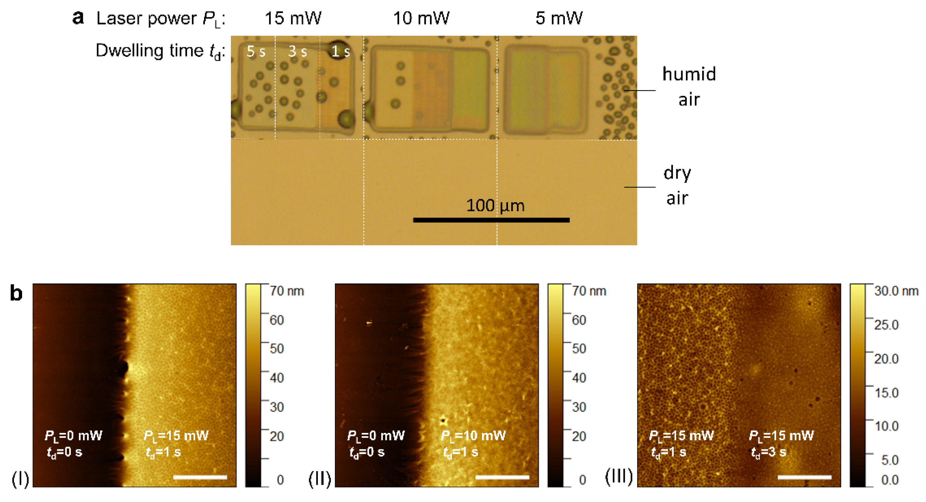 Preprints 142987 g004