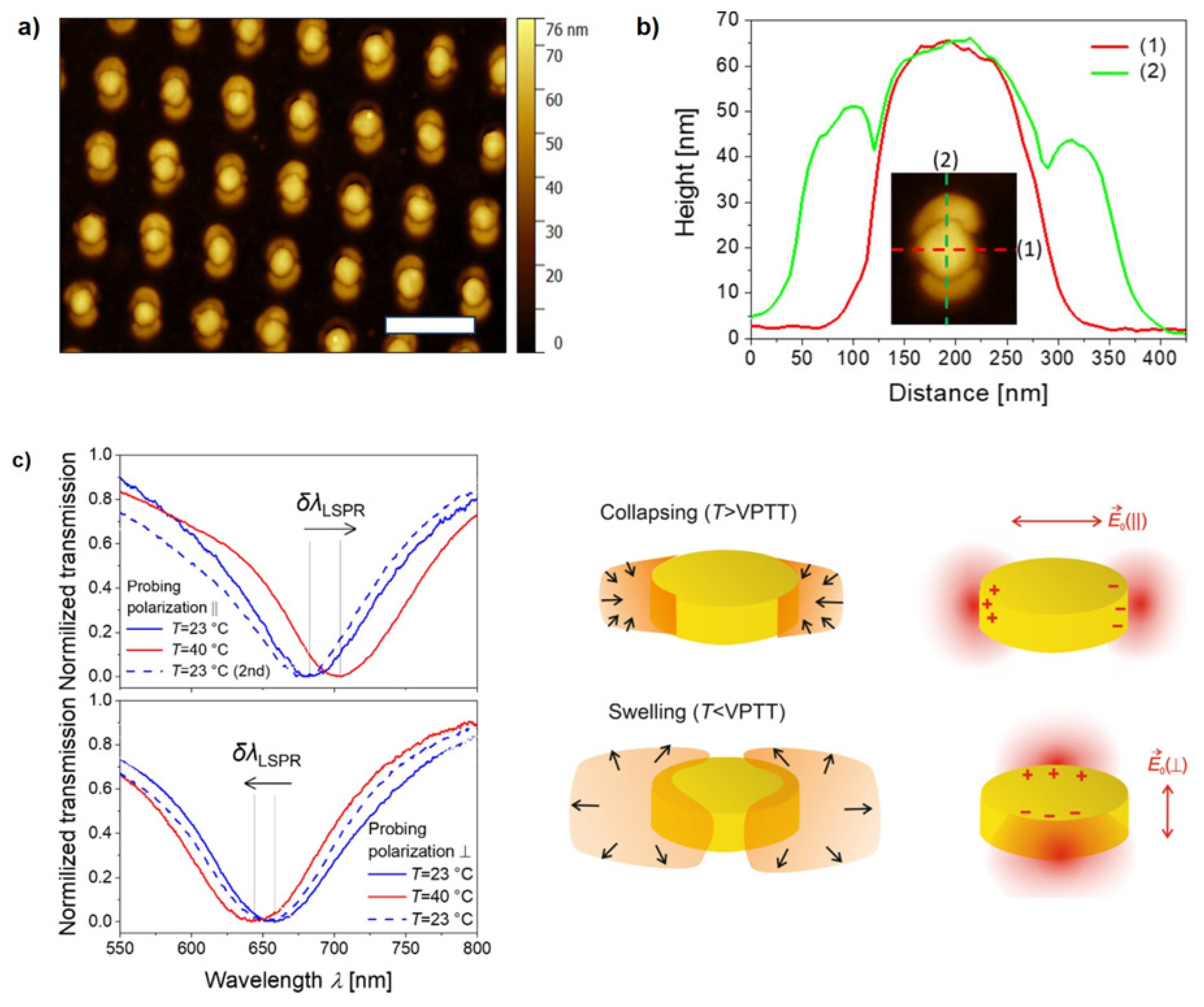 Preprints 142987 g008