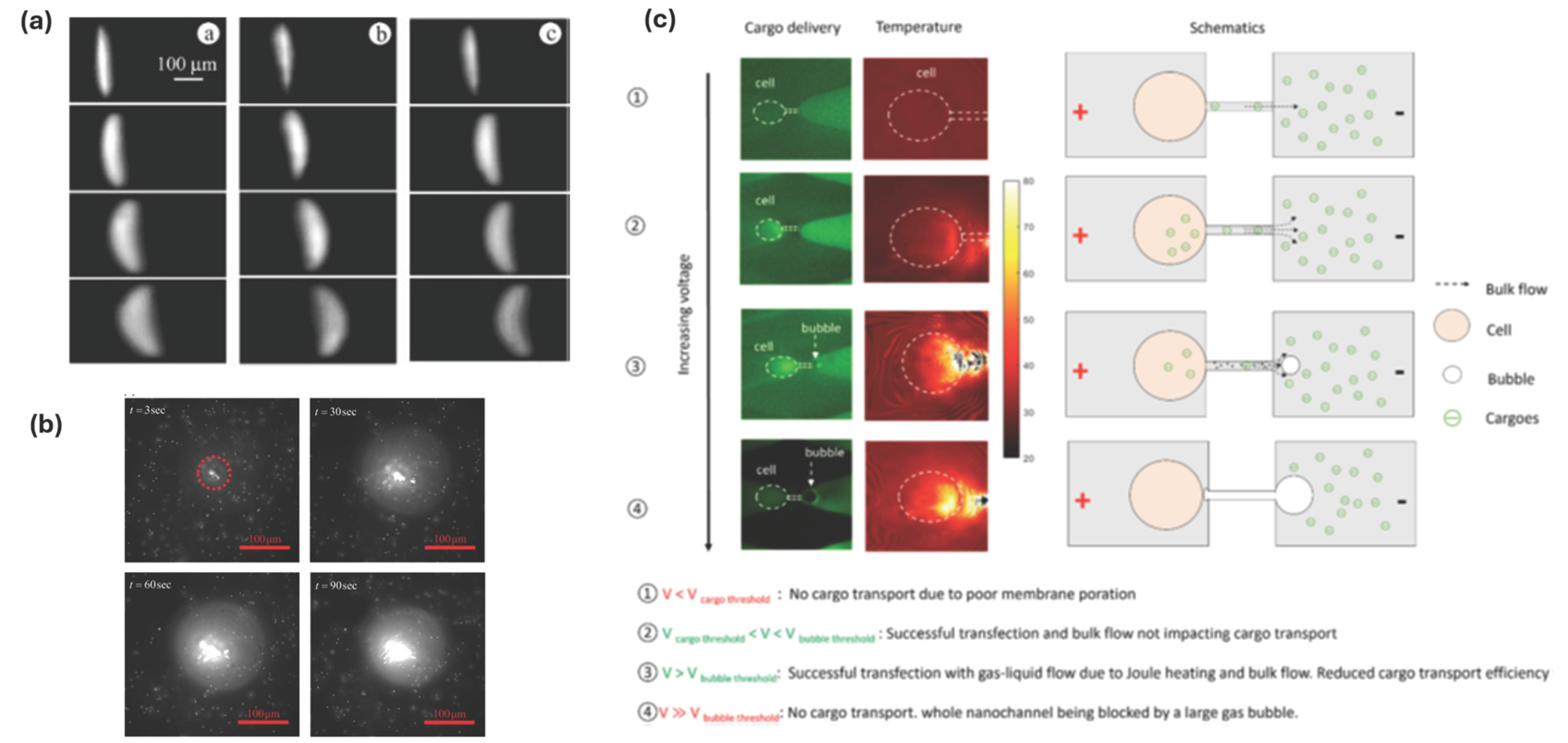 Preprints 200445 g005