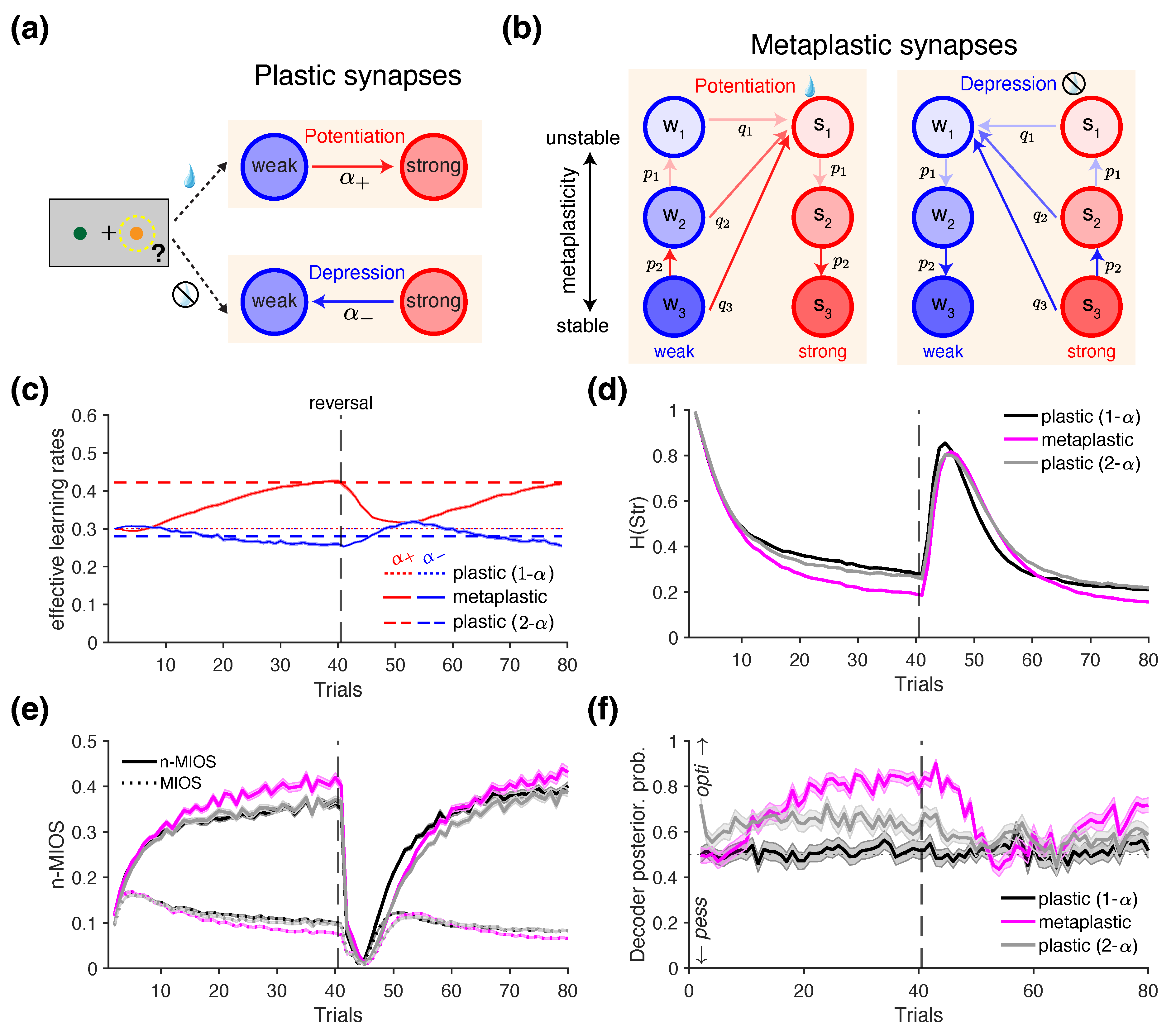 Preprints 174449 g004