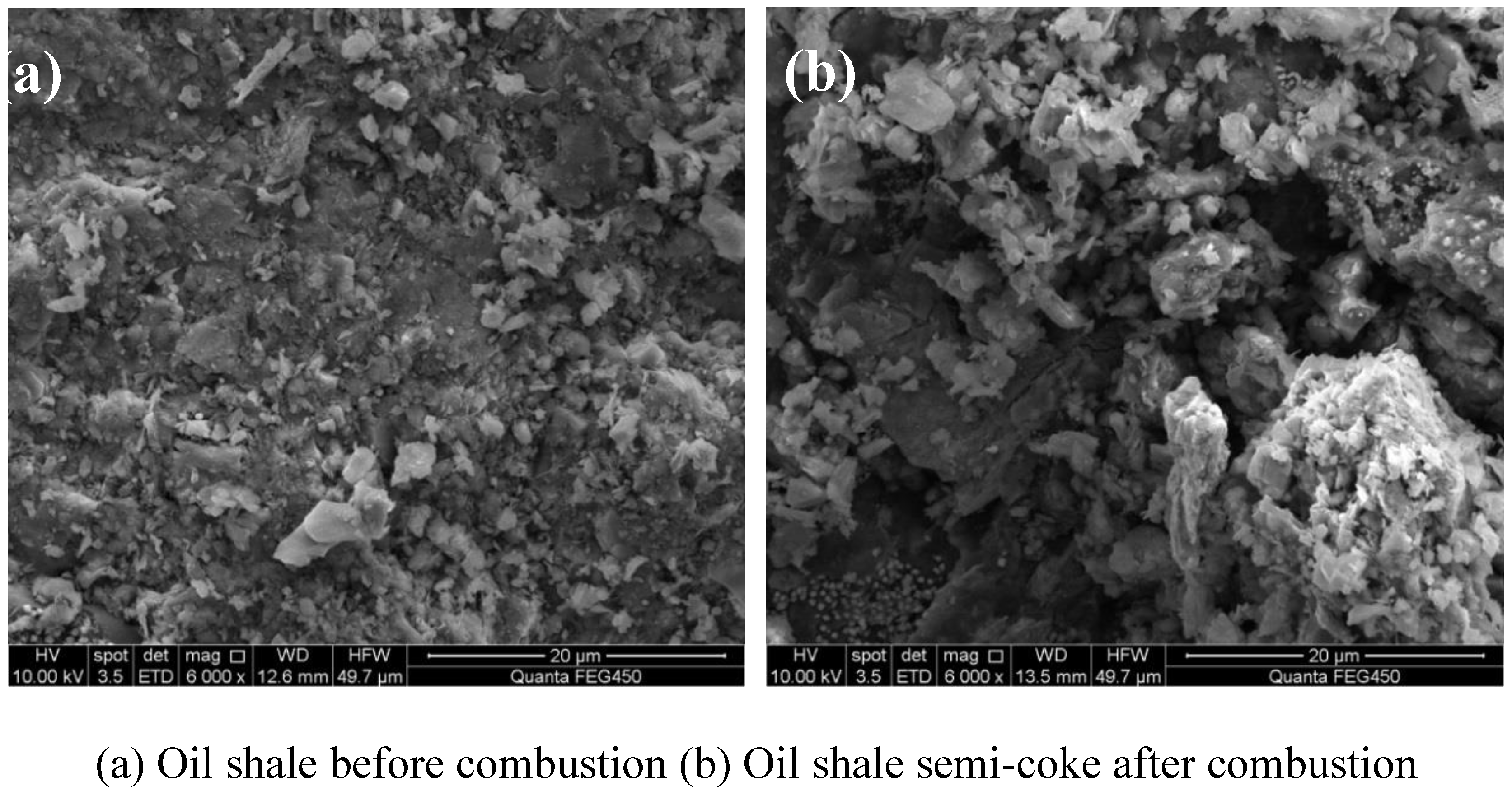 Preprints 155206 g006