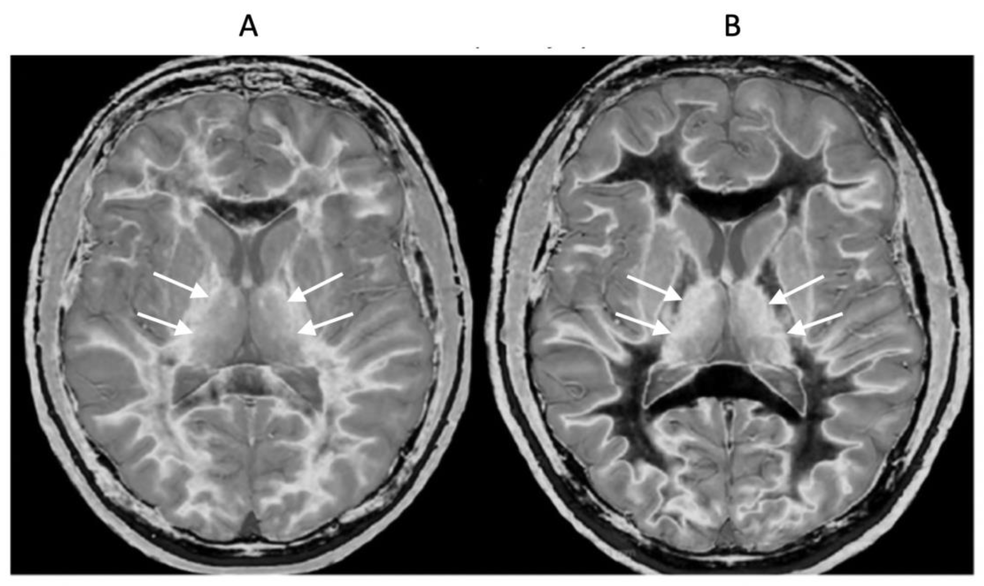 Preprints 162895 g012