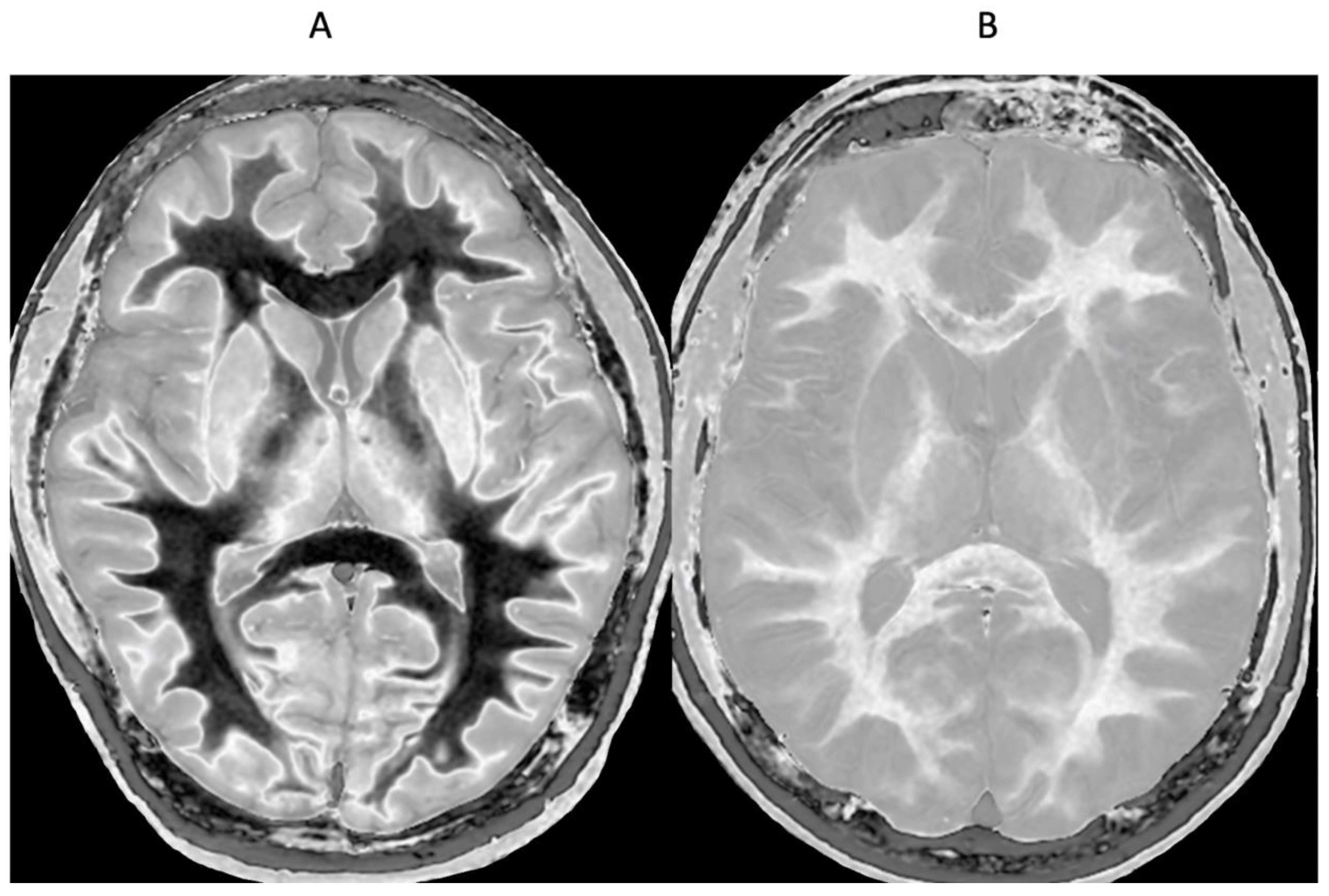 Preprints 162895 g013