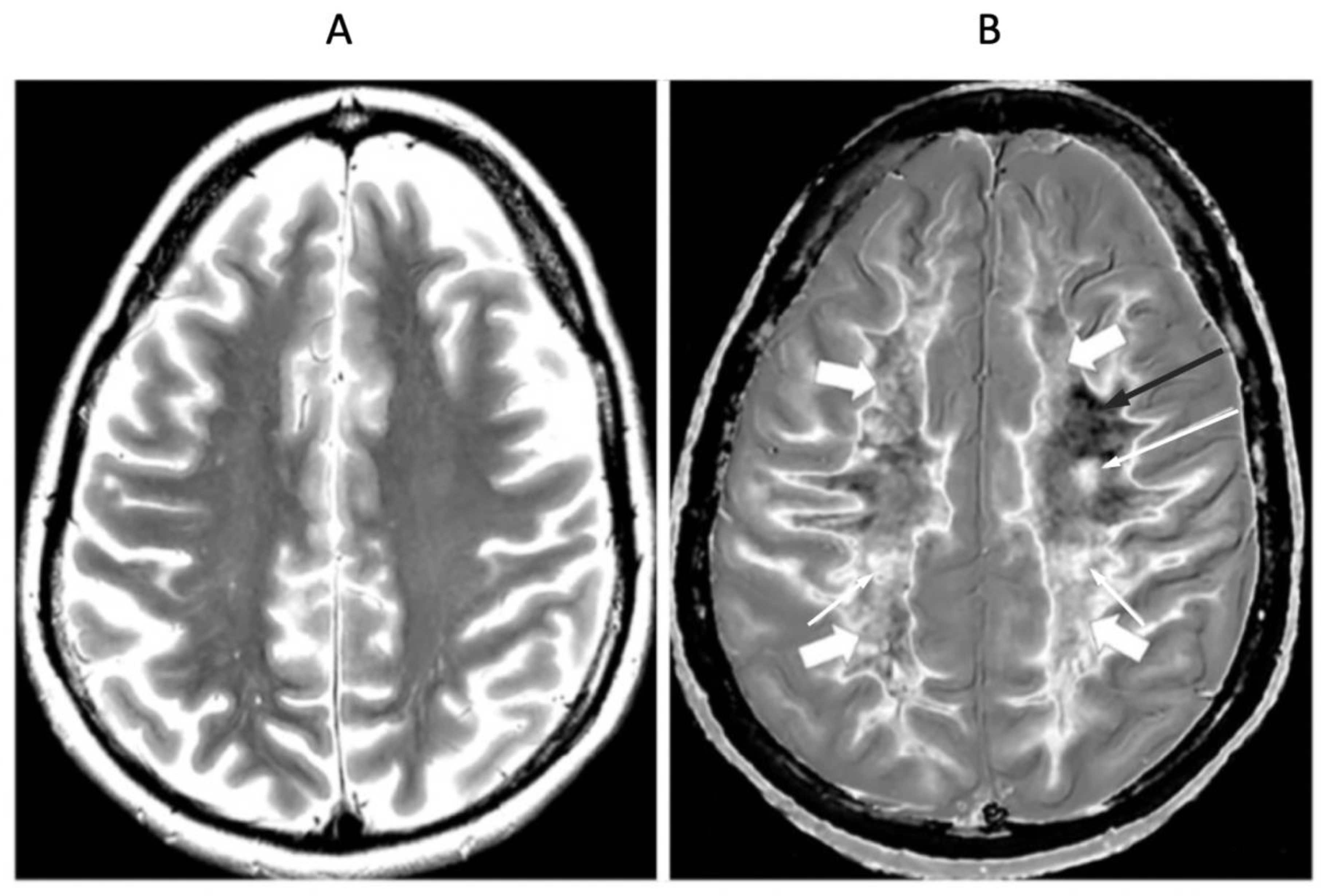 Preprints 162895 g015