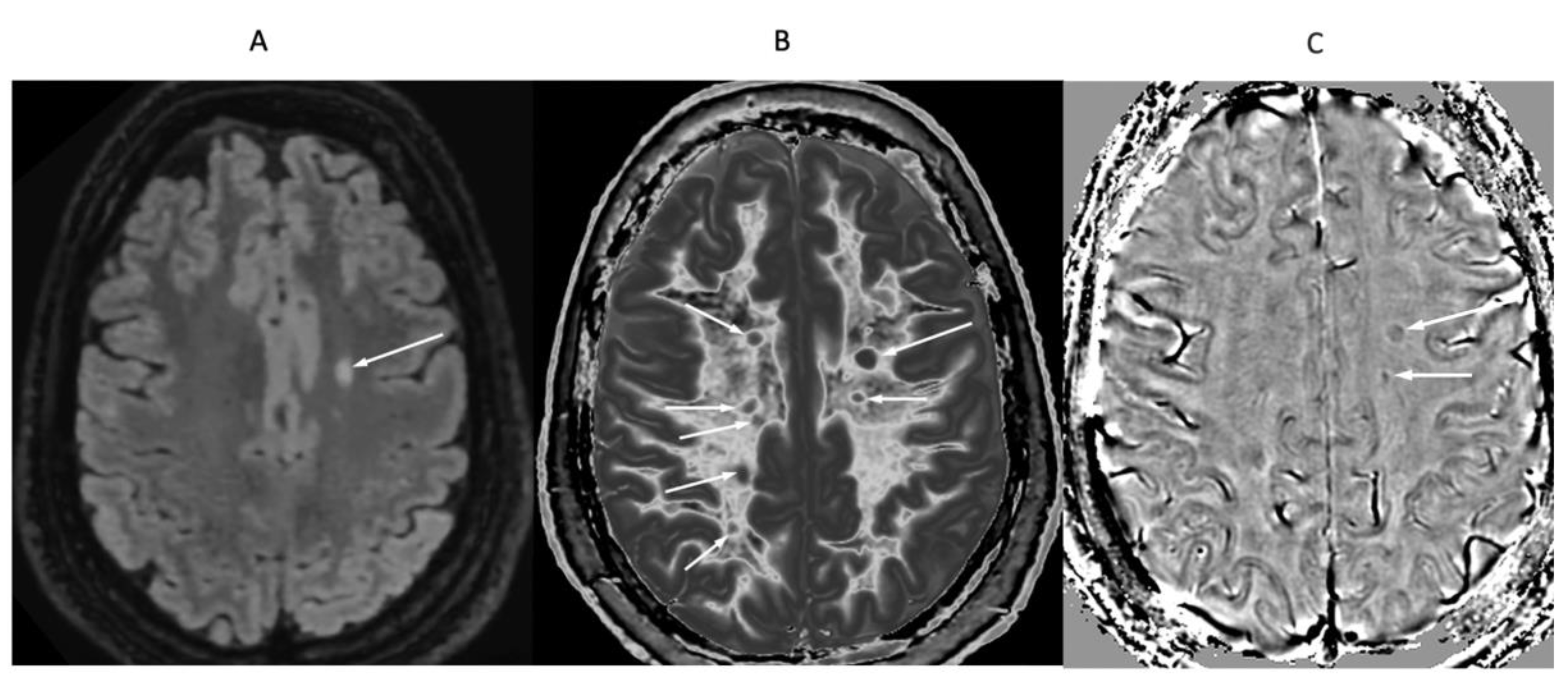 Preprints 162895 g016
