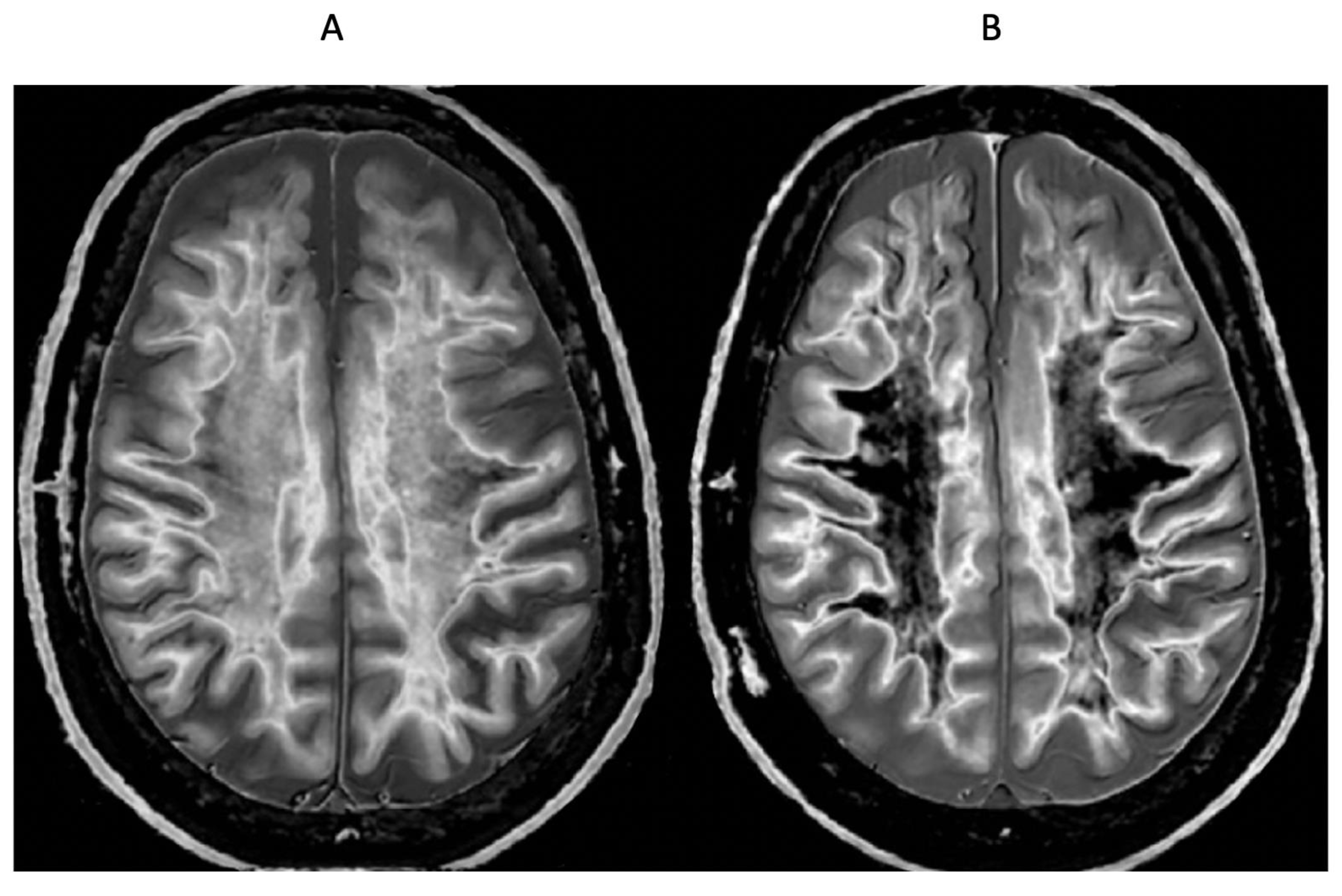 Preprints 162895 g019