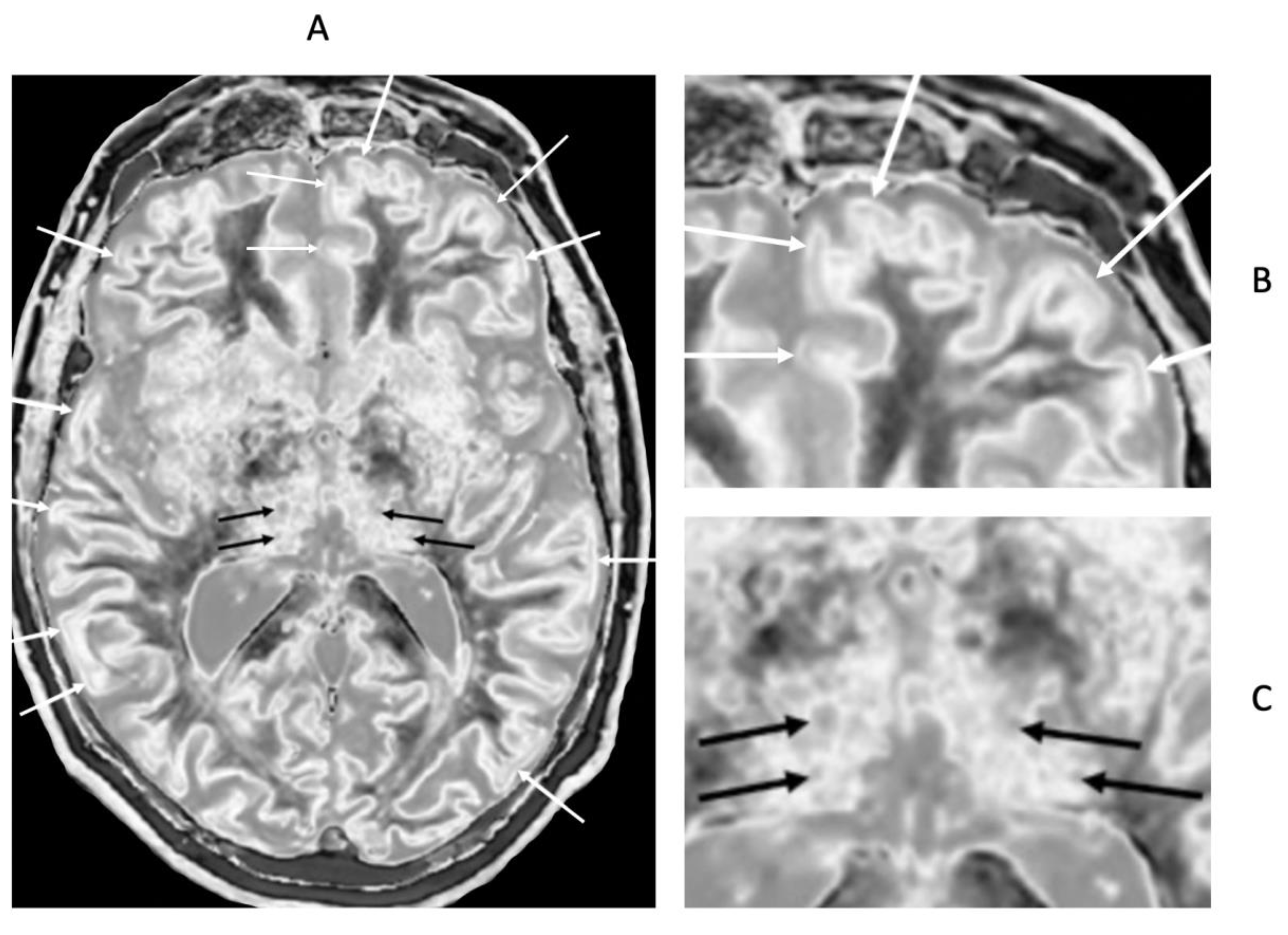 Preprints 162895 g020