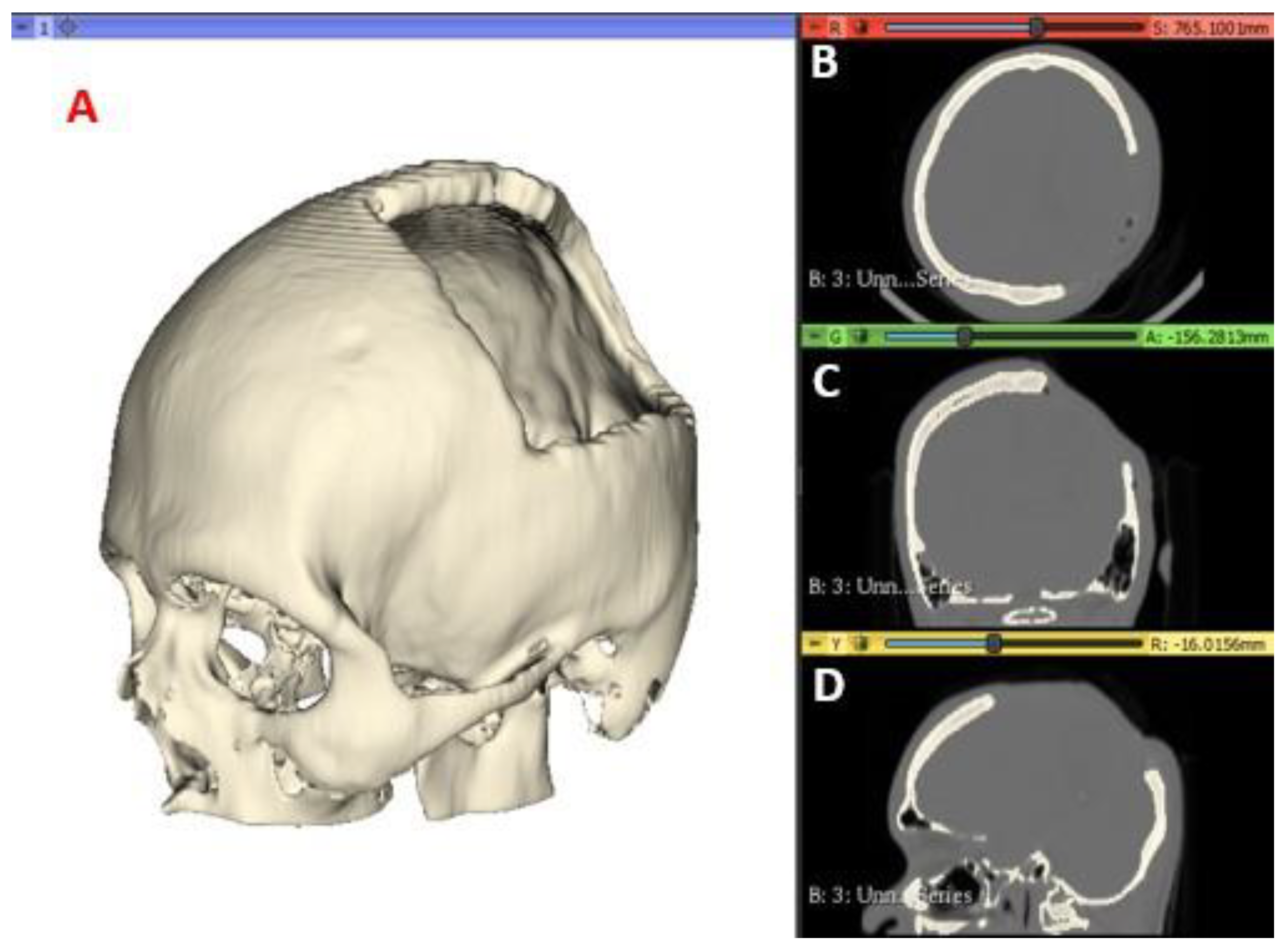 Preprints 79867 g001