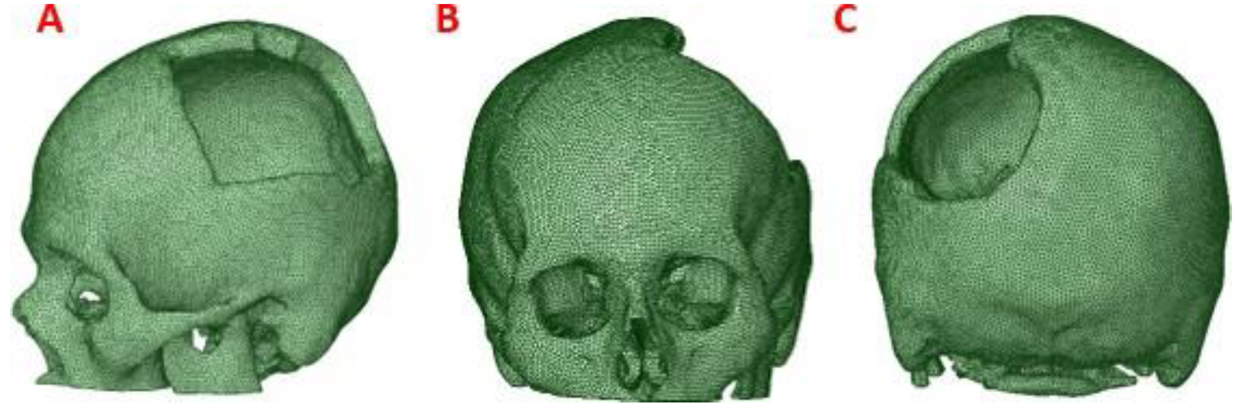 Preprints 79867 g002