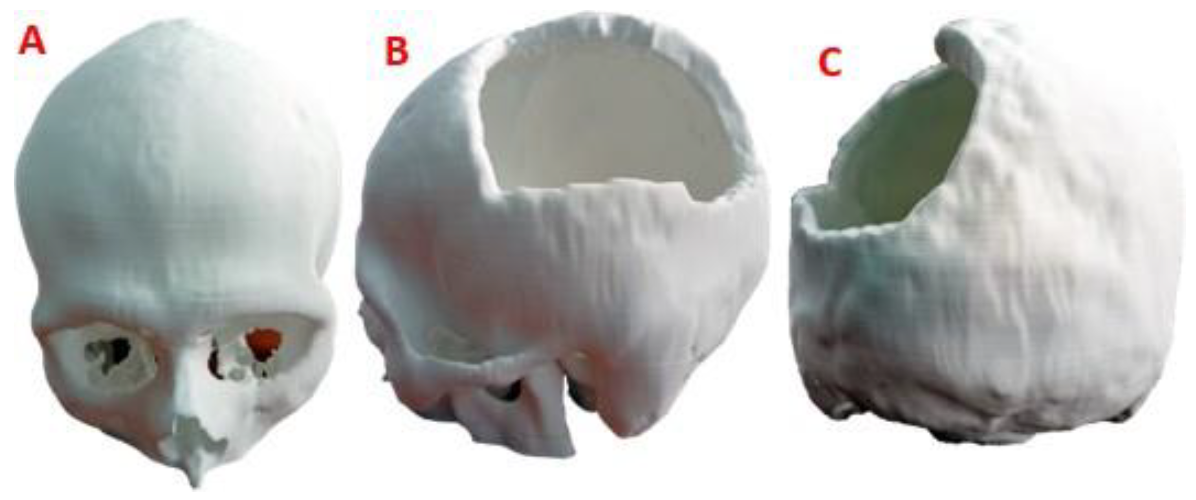 Preprints 79867 g008