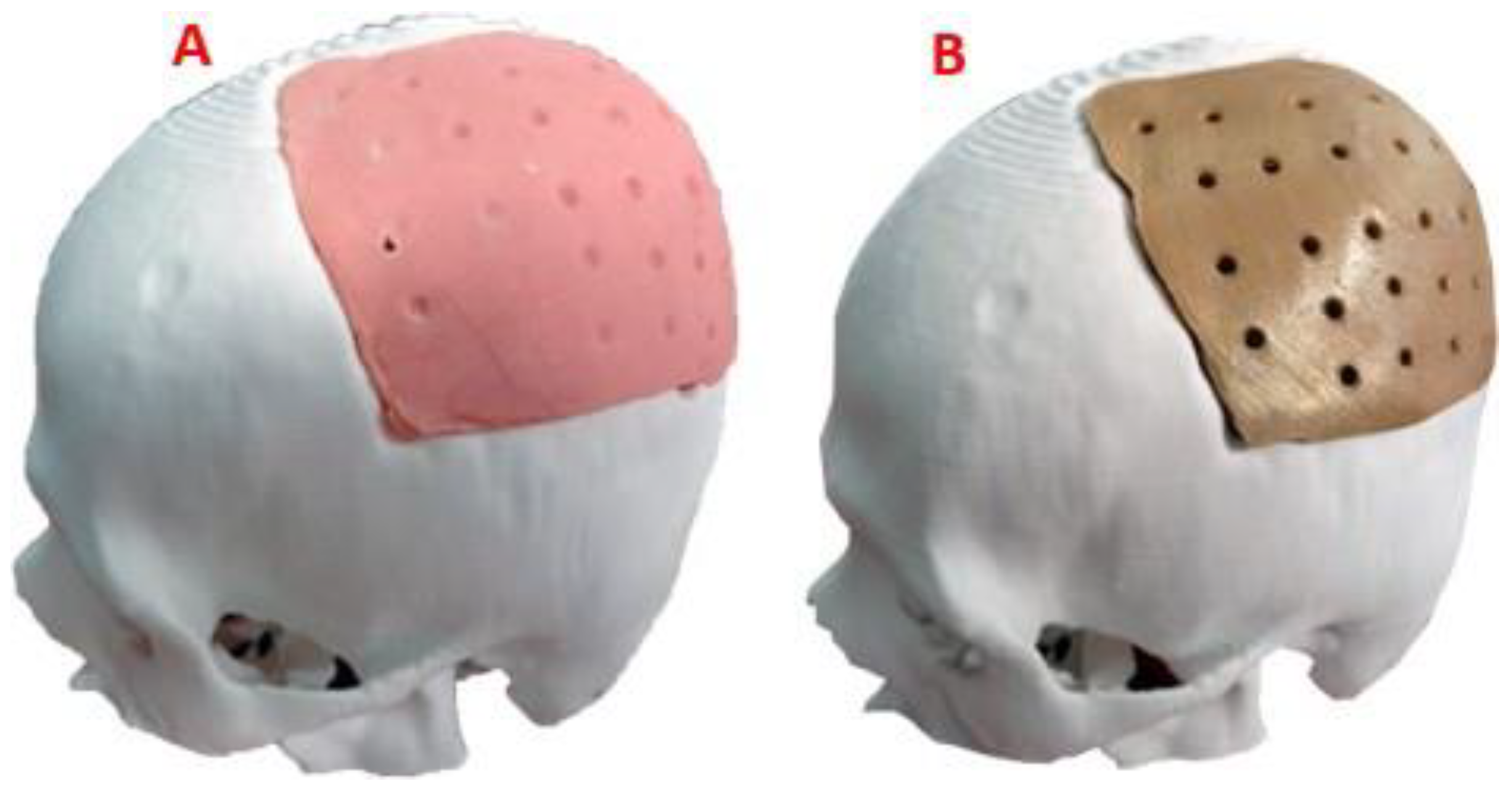 Preprints 79867 g009
