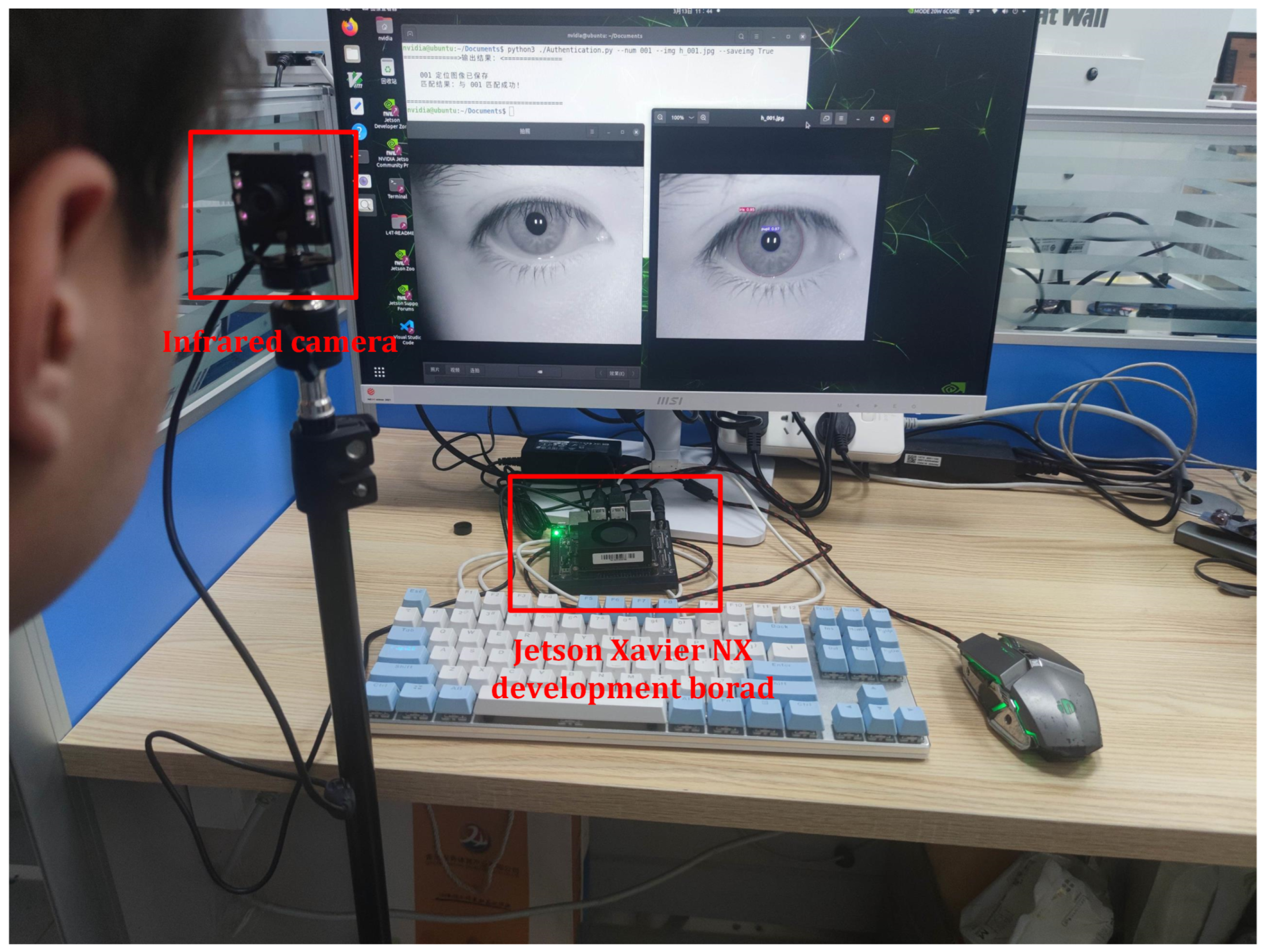 Preprints 165166 g004