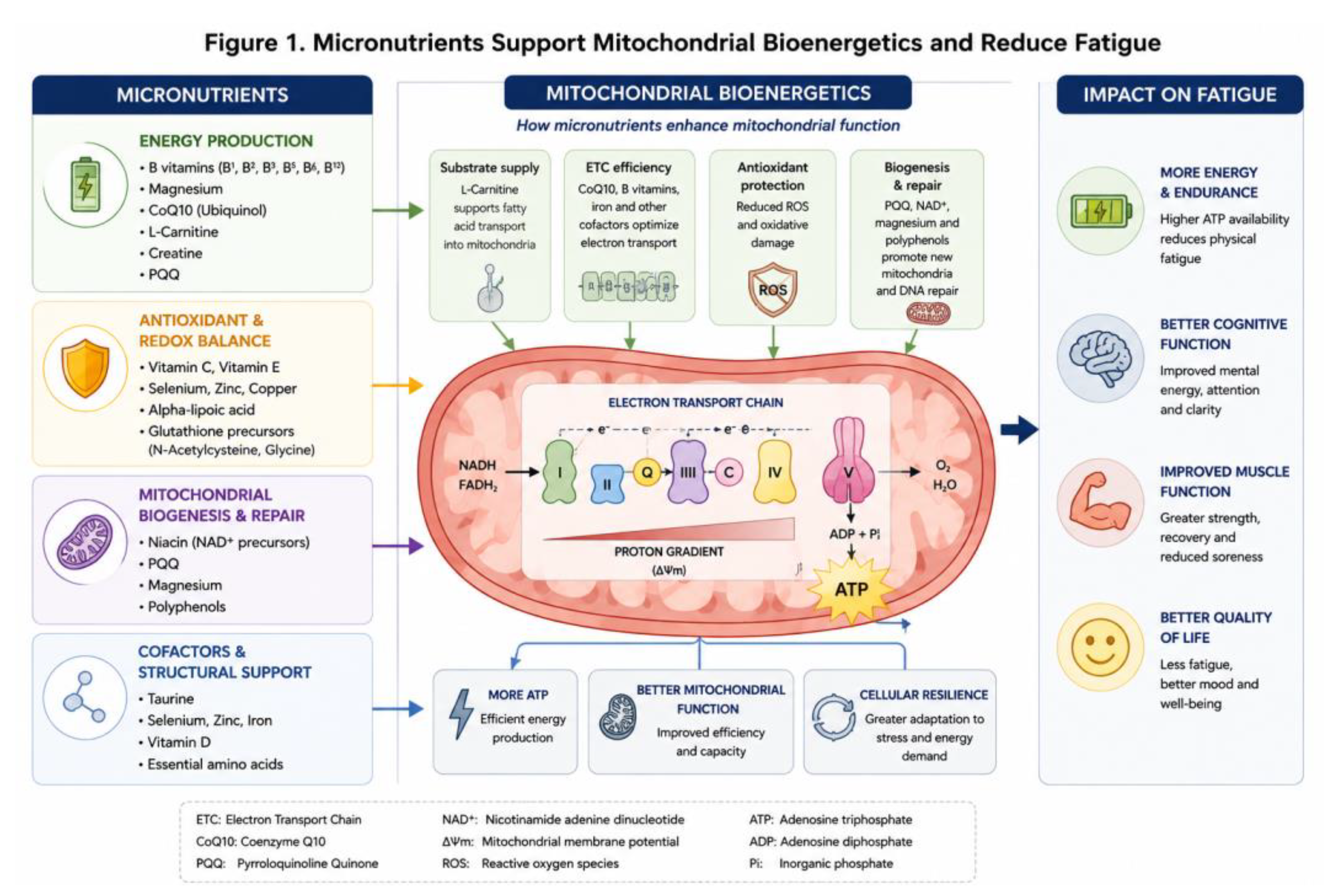 Preprints 224024 g001