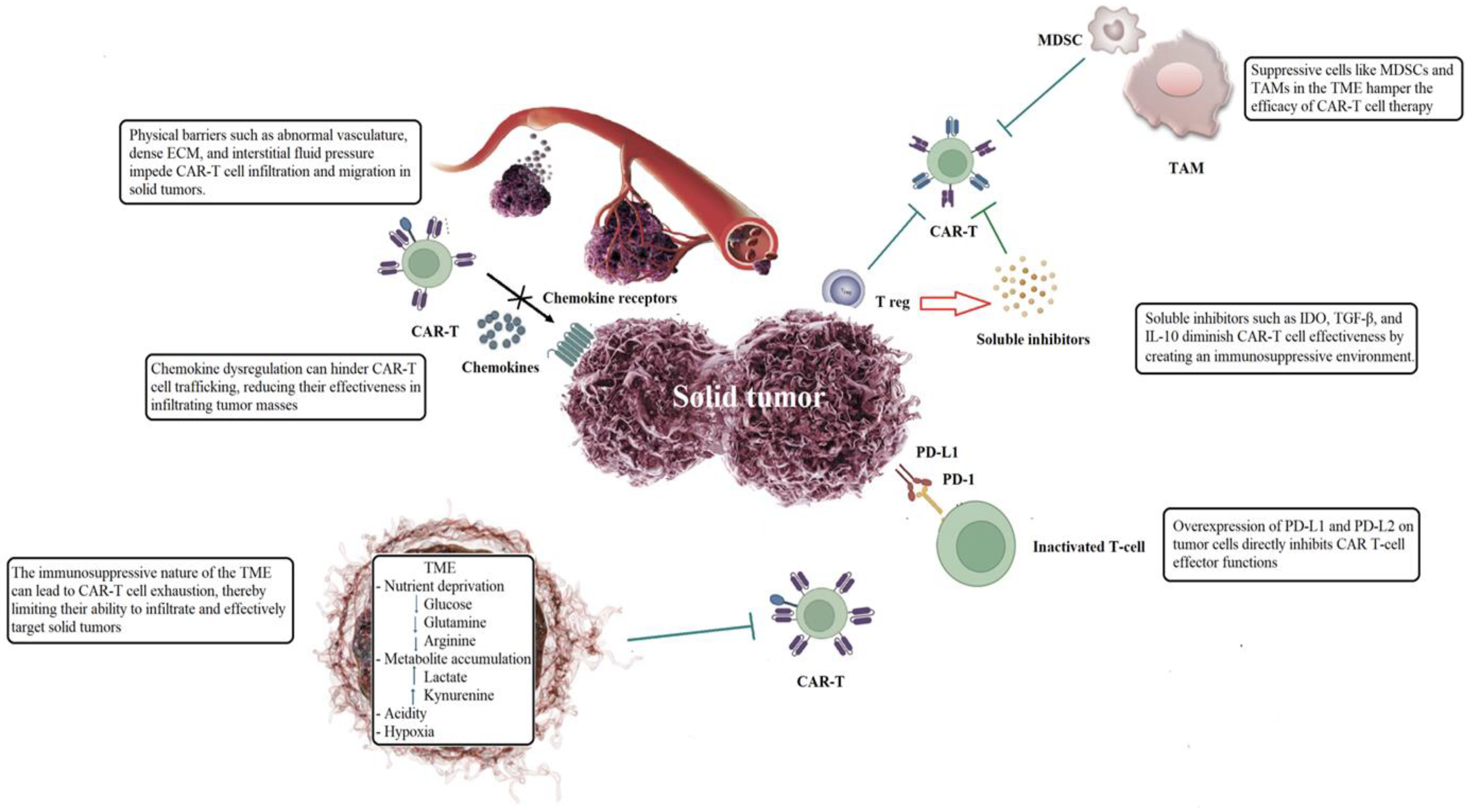 Preprints 145972 g001