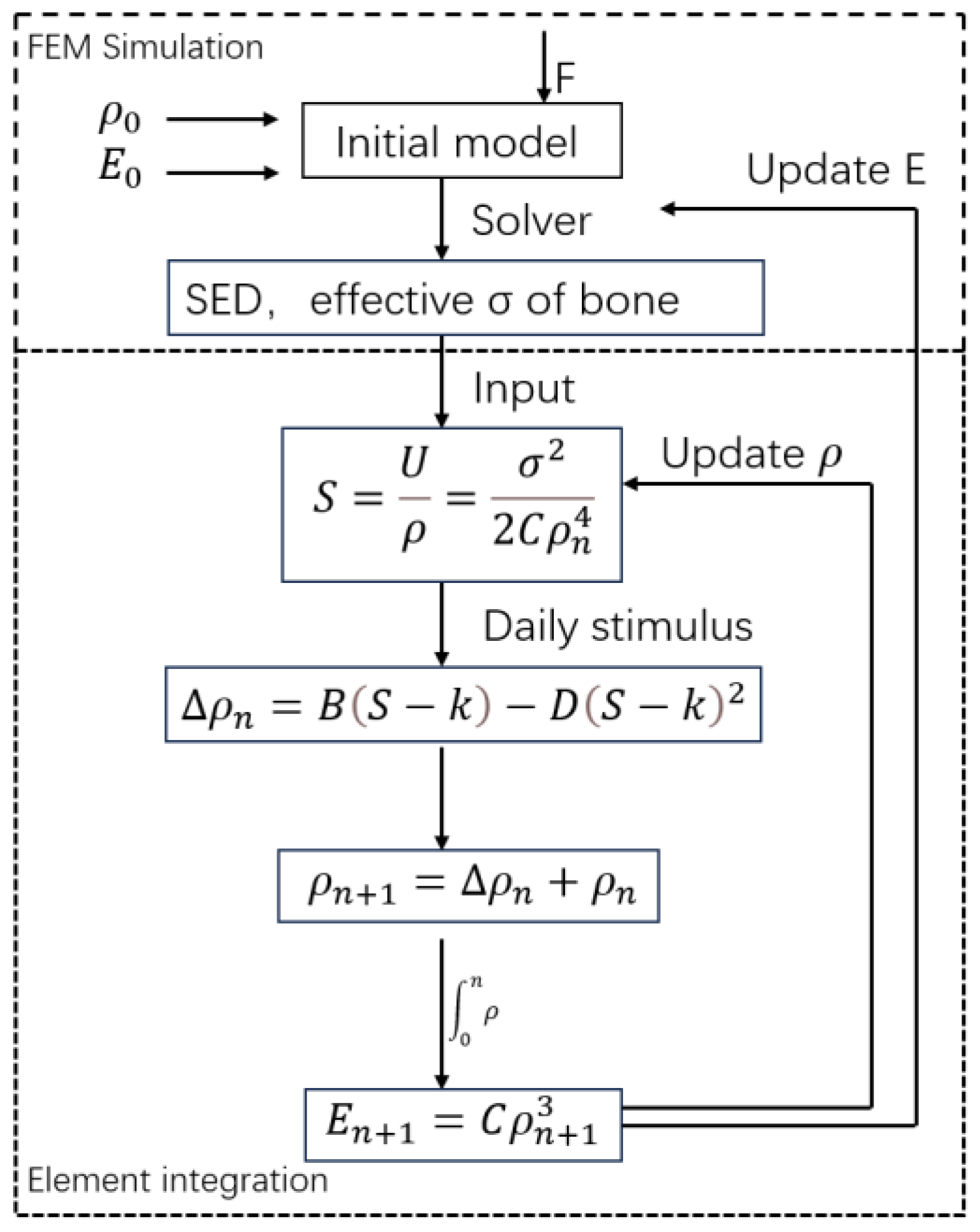 Application of the Strain Energy Density criterion for Patient-Specific ...