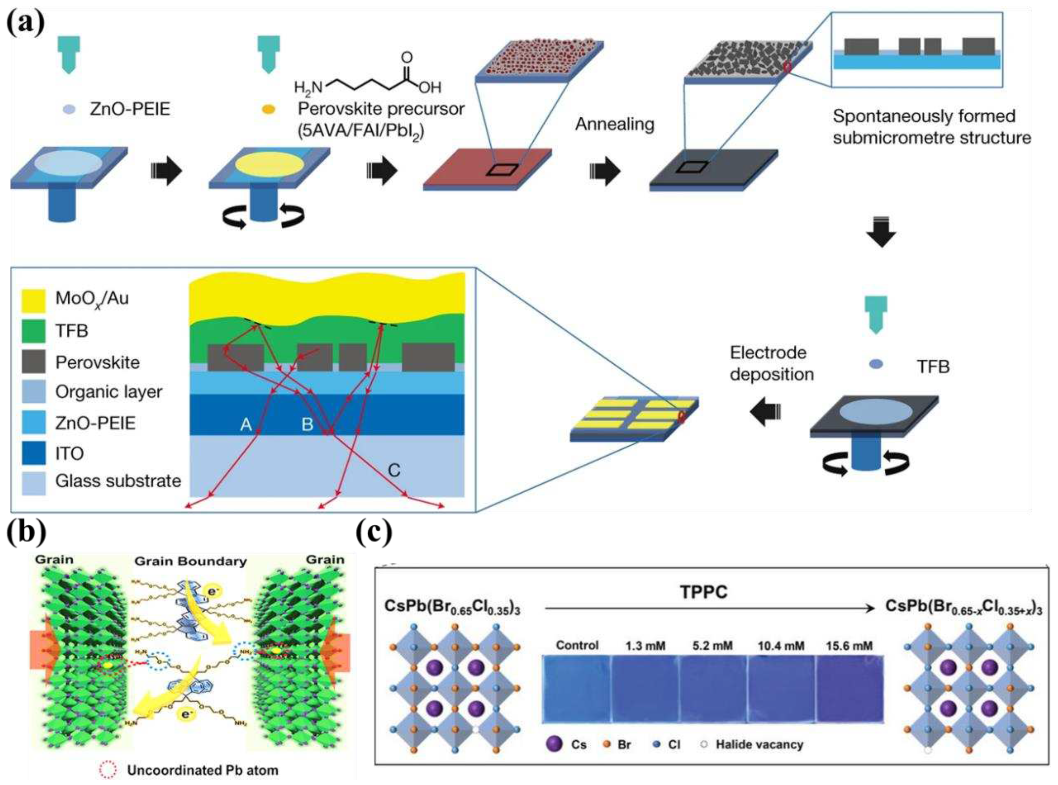 Preprints 94325 g002