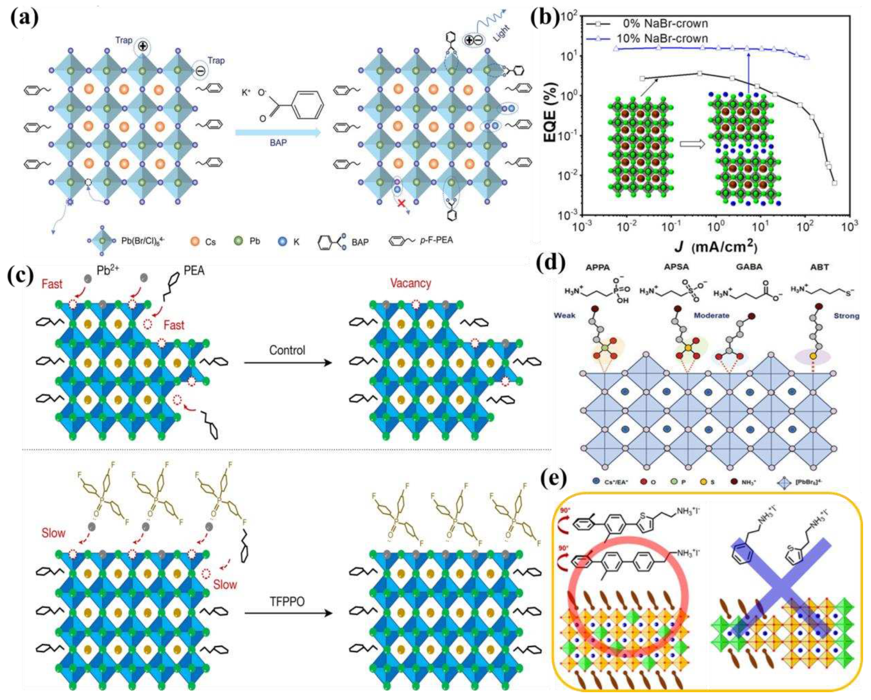 Preprints 94325 g004