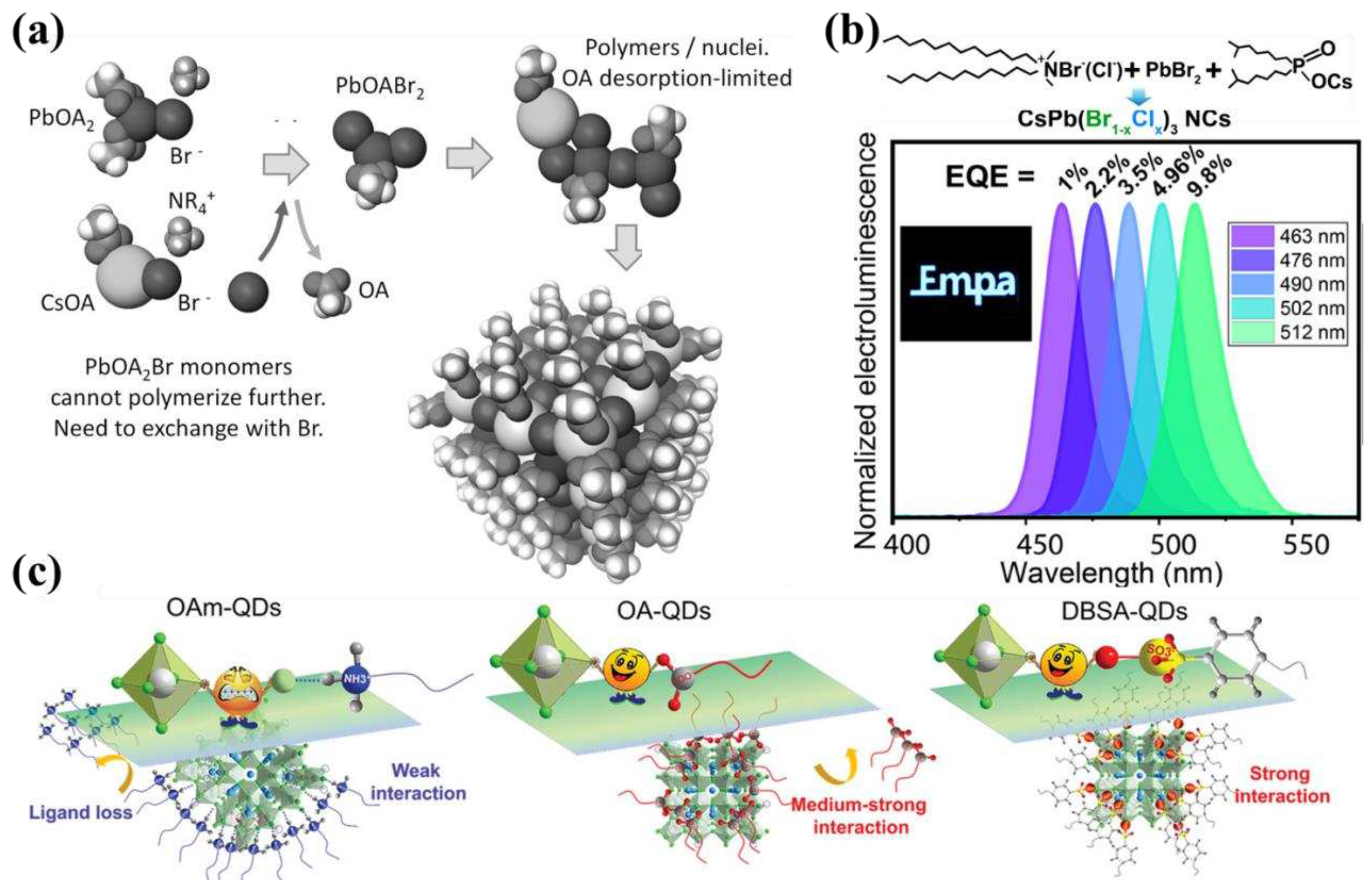 Preprints 94325 g006