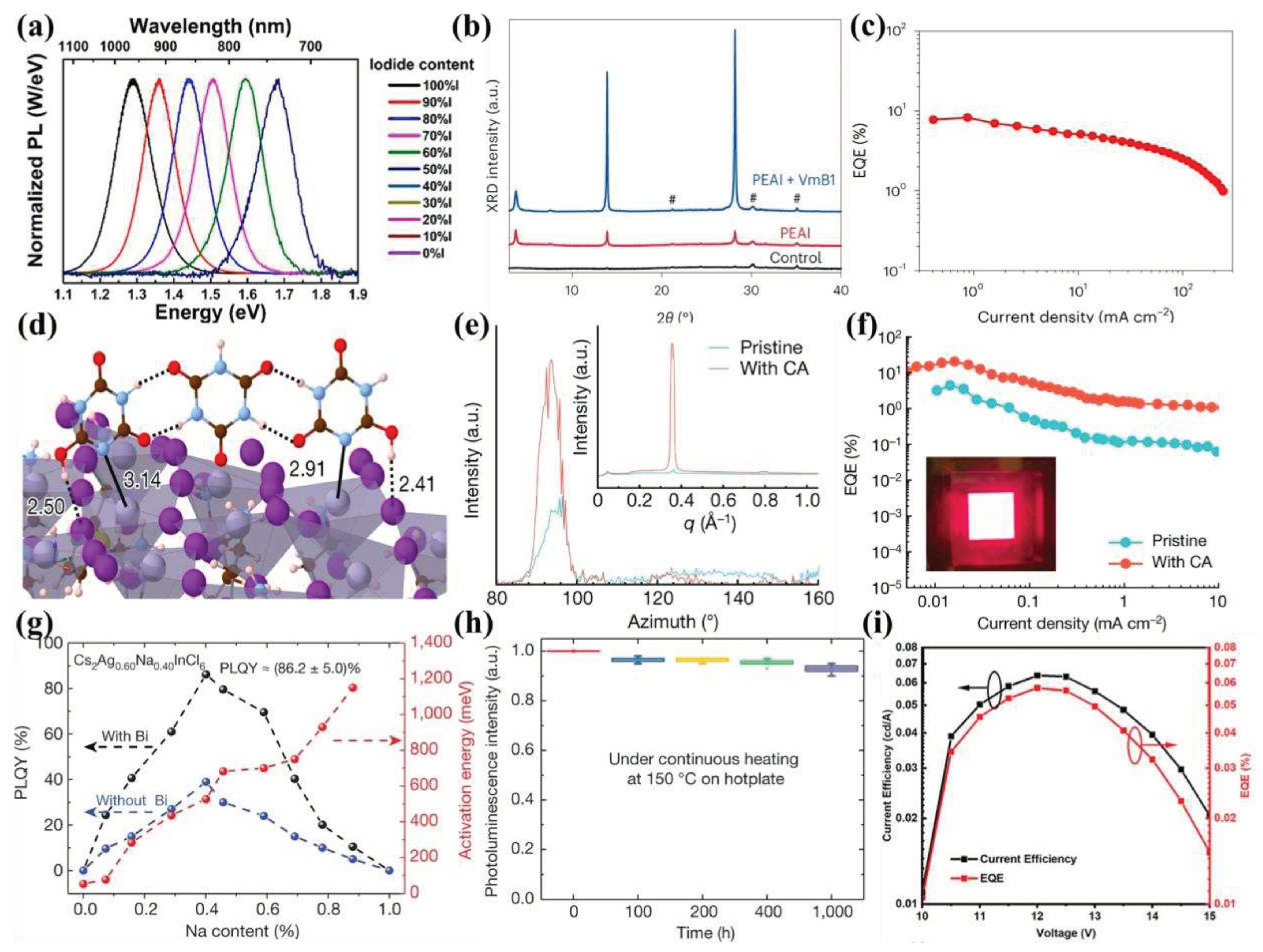 Preprints 94325 g010