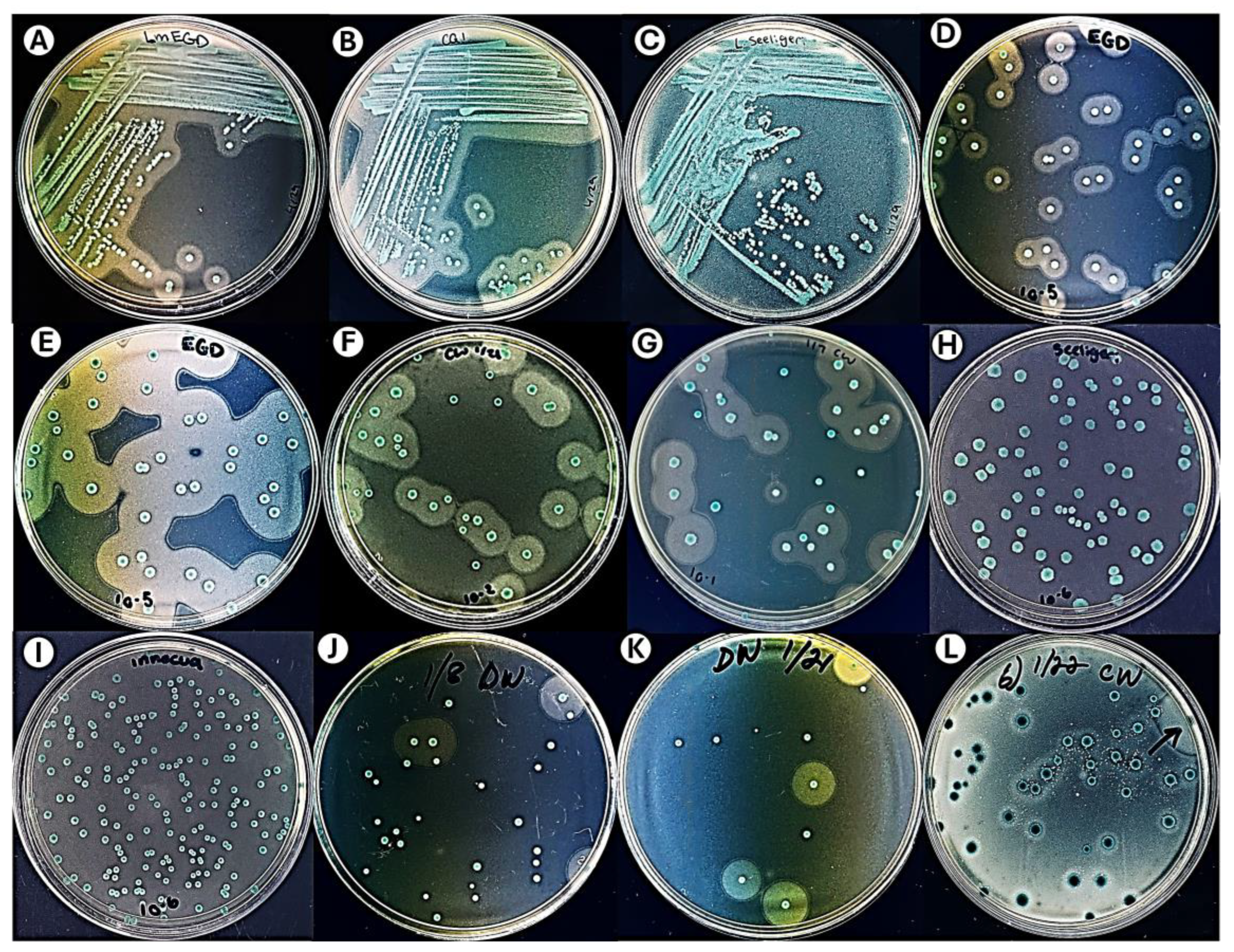 Preprints 226703 g002 Preprints 226703 g002