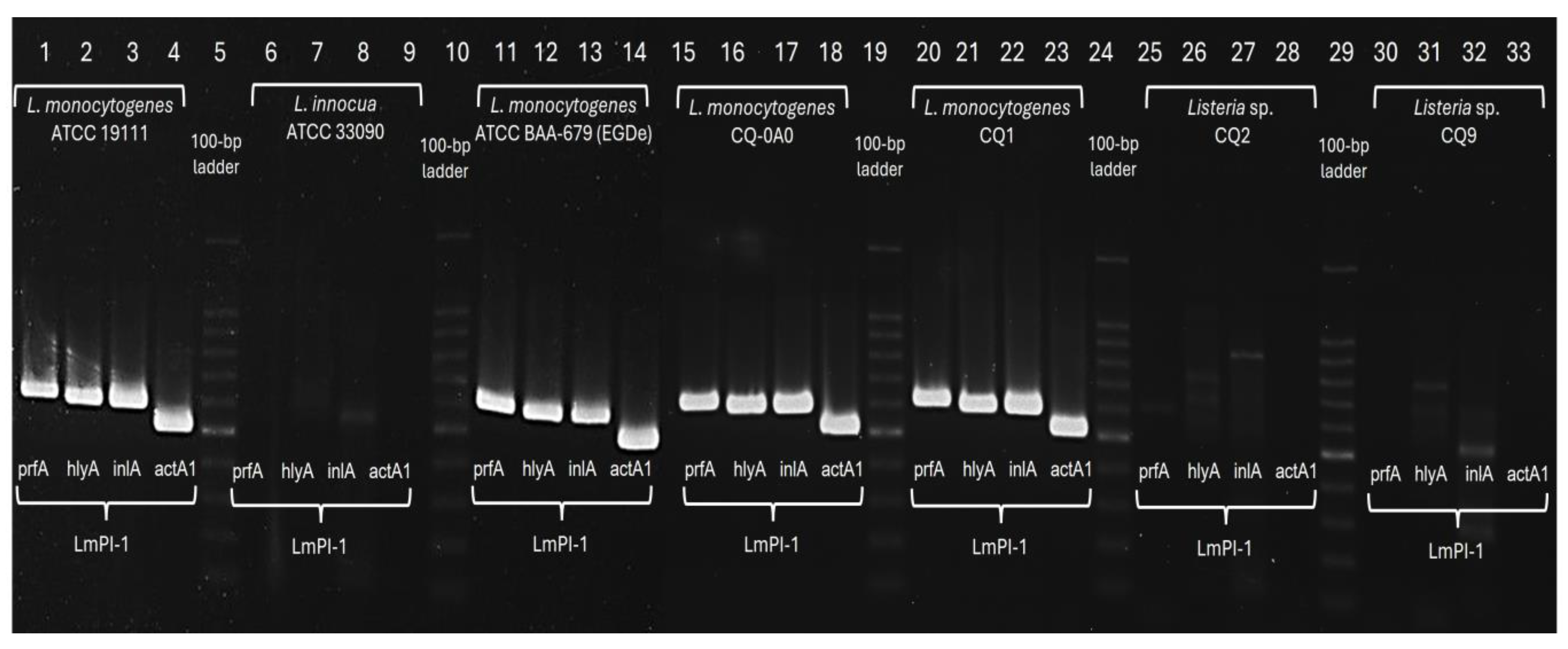 Preprints 226703 g003 Preprints 226703 g003