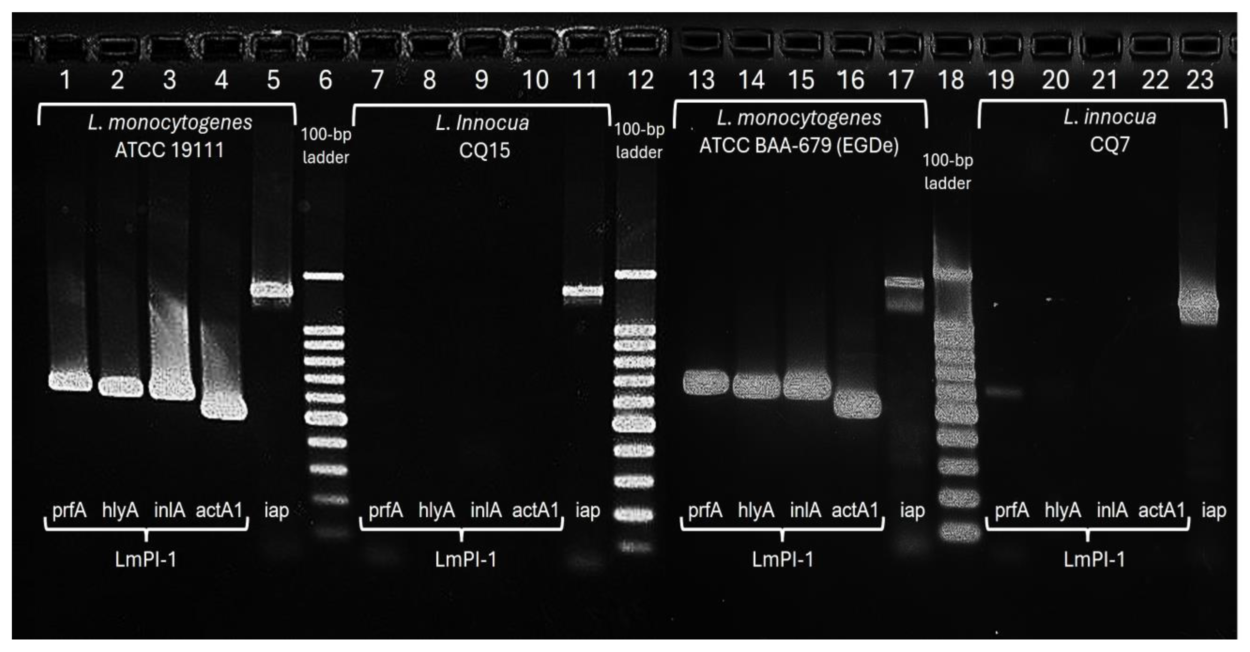 Preprints 226703 g004 Preprints 226703 g004